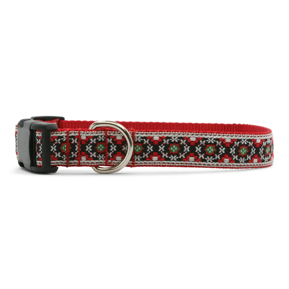 Villah Dog Collar