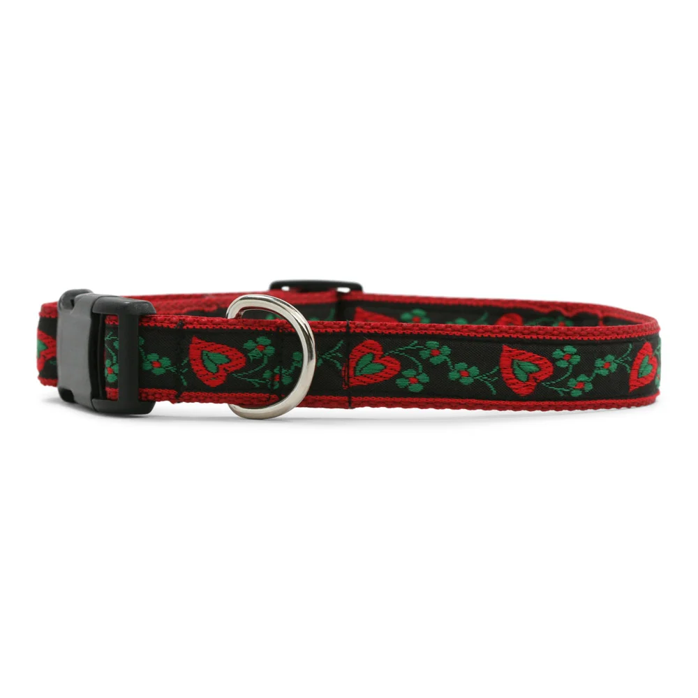 Salzburg/Red Dog Collar