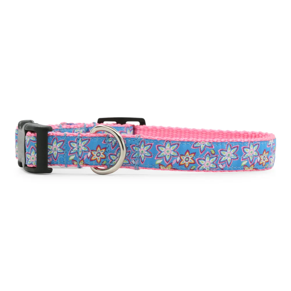 Blue Starlett Flower Collar
