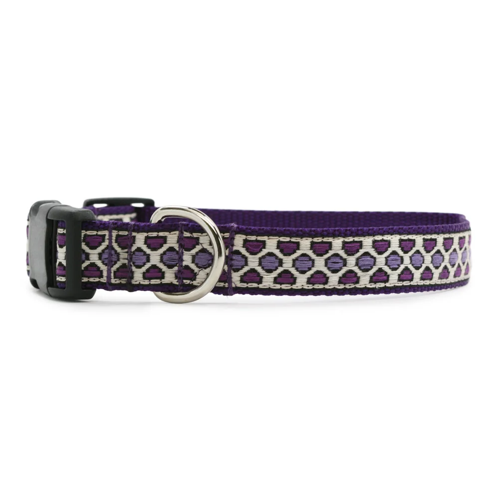 Spot Me Purple Collar