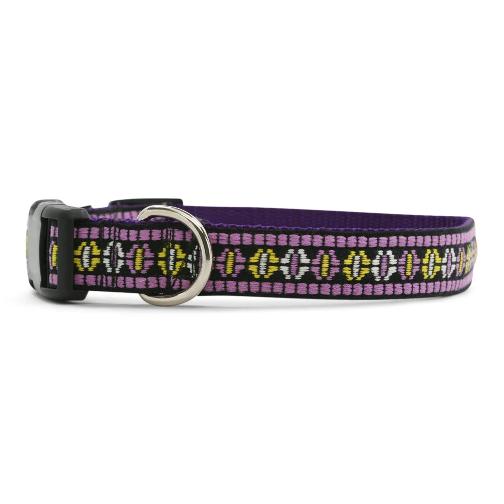 Circle O Purple Dog Collar