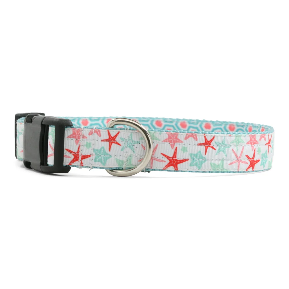 Star Fish