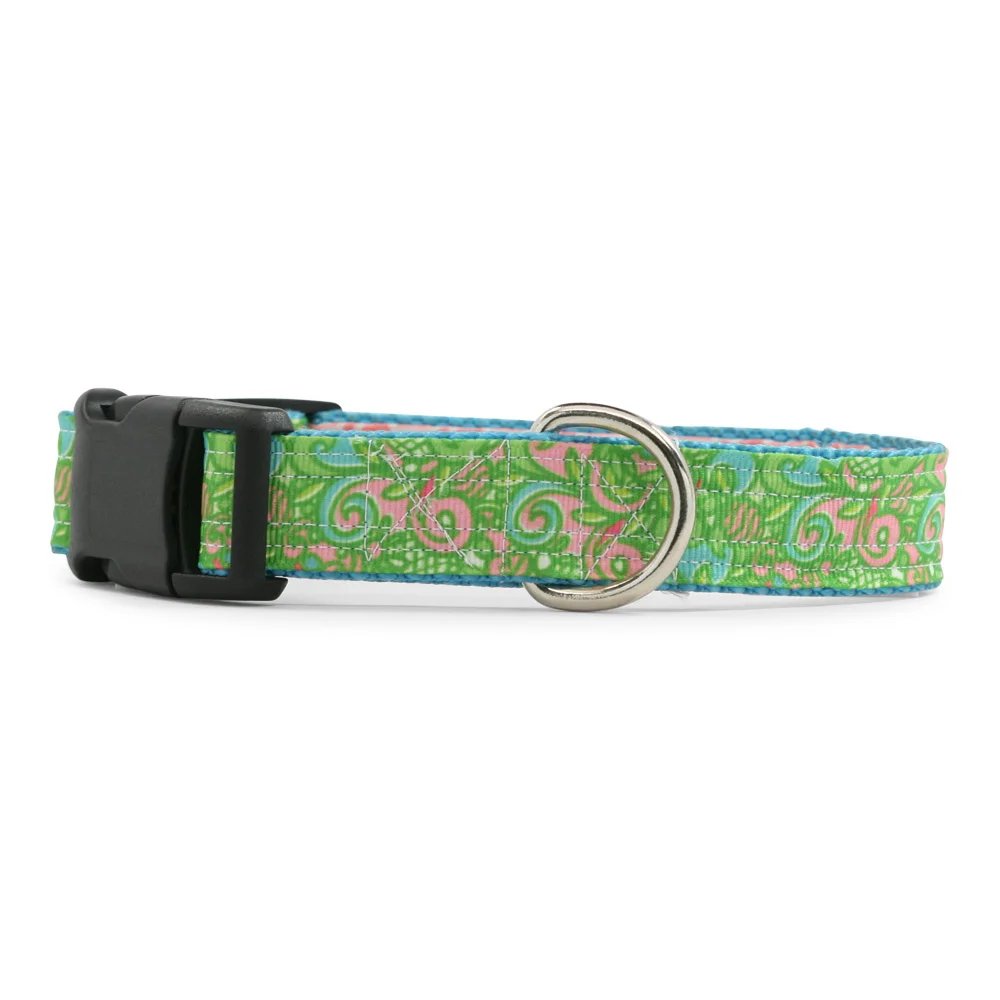 Summer Swirl Dog Collar