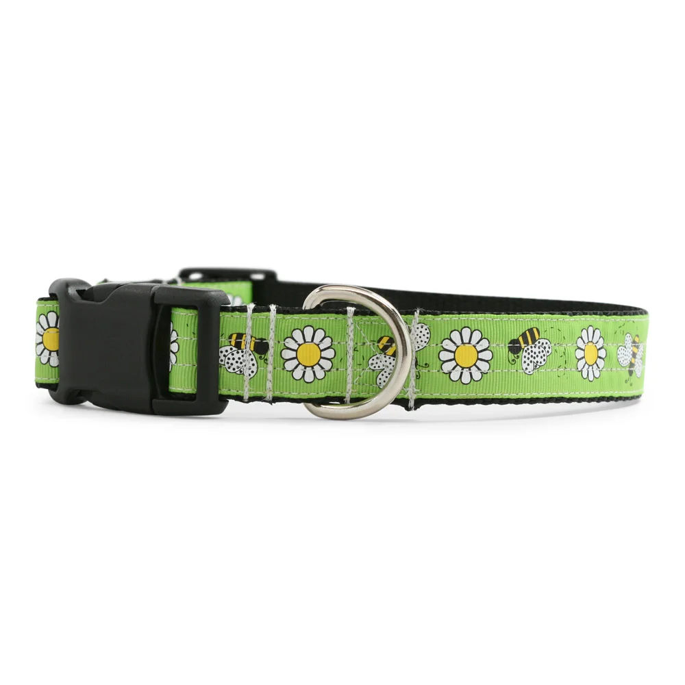 Mr. B. Green Dog Collar