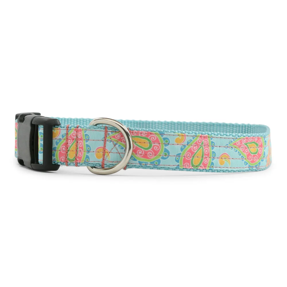 Summer Paisley Dog Collar