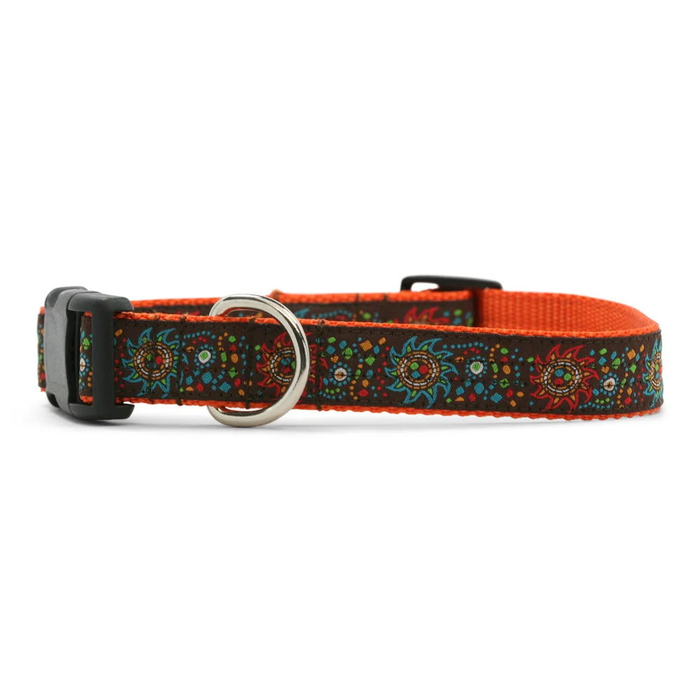 Colorful Sun Dog Collar