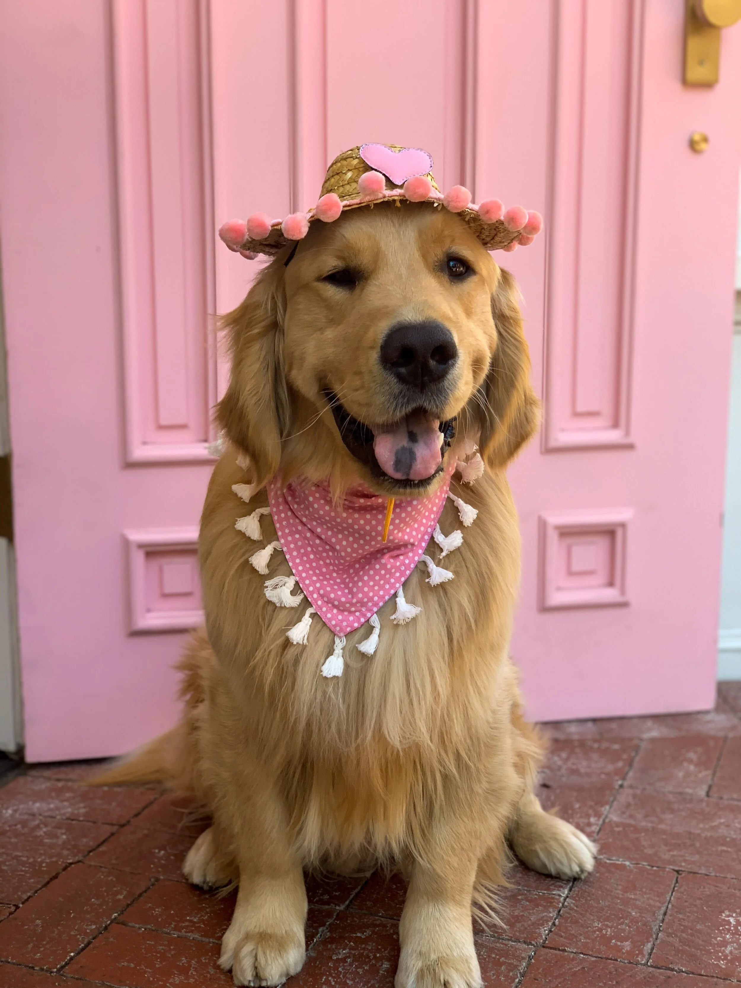 Facetune_10-01-2020-12-15-57 2.JPG