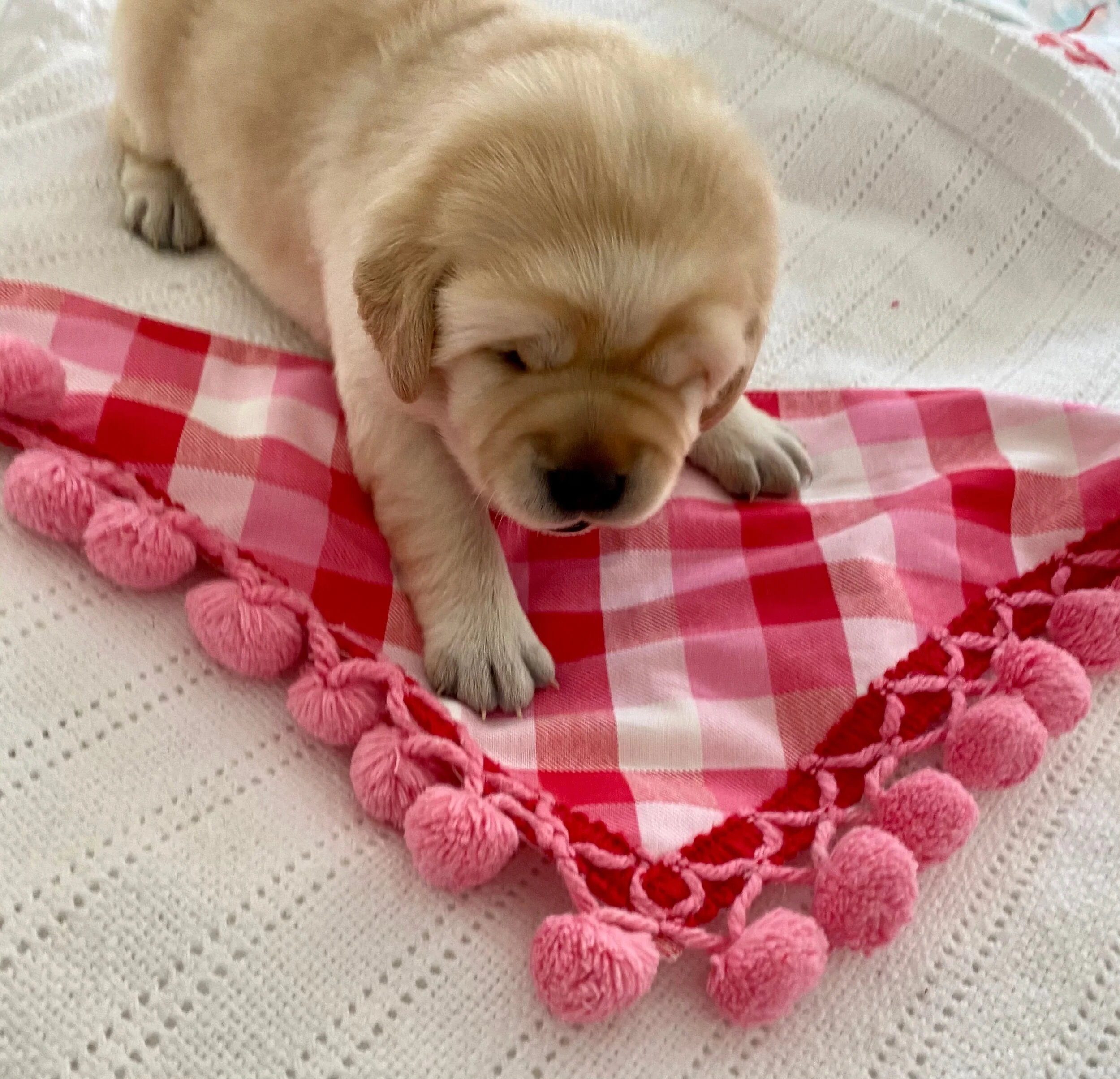 CBE80A3E-23A2-4041-B74C-57647ACD972B