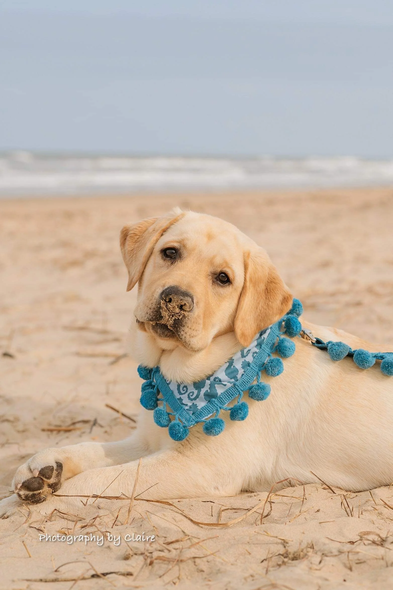 5C95B807-4107-4683-8C13-A6EC0E9C58BD