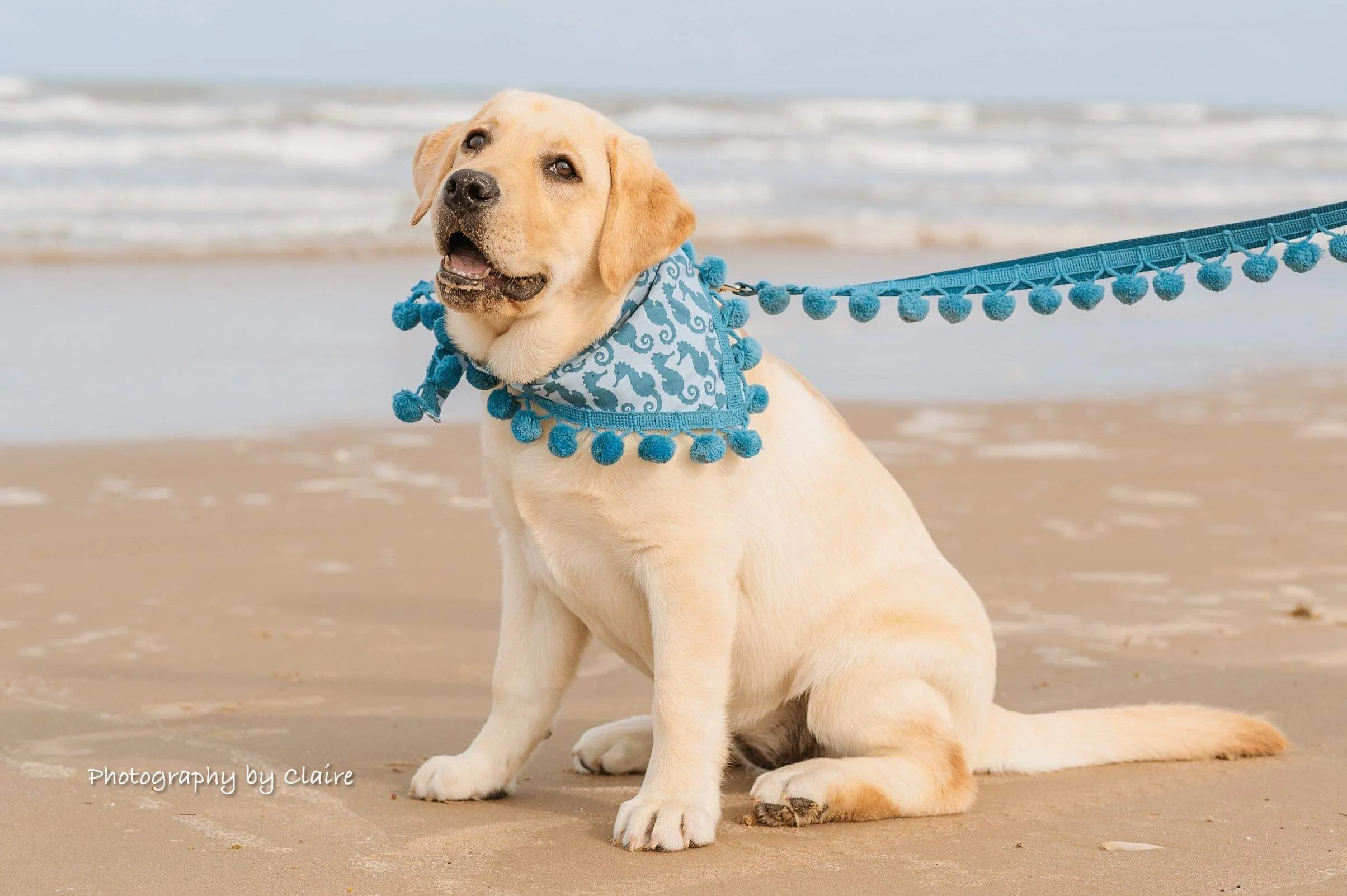 4A0AB0CA-E6C2-4A08-BB5C-CBFE2995C26B