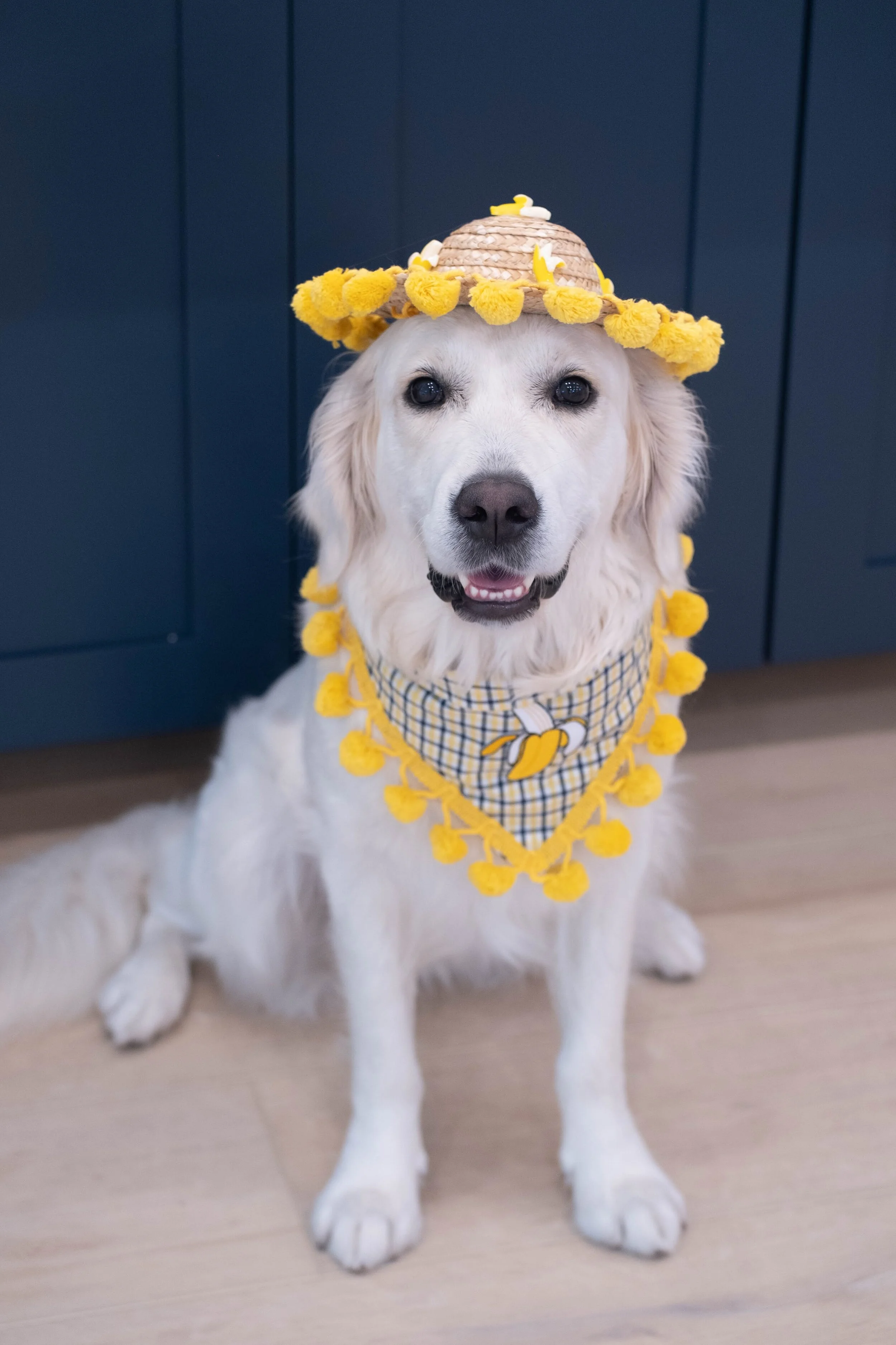 Banana Plaid Dog Bandana