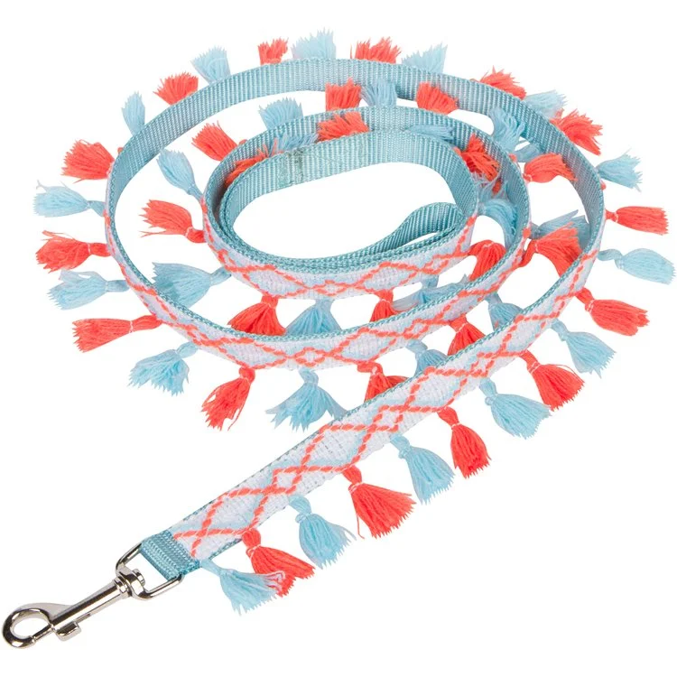 Aqua and Orange Tassel Collar and Leash