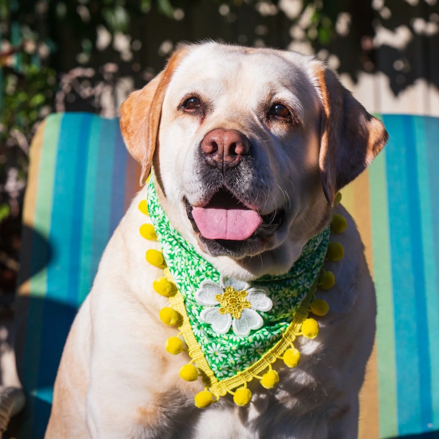 05F2F597-ECFA-4A52-88A4-F24D8F35E554