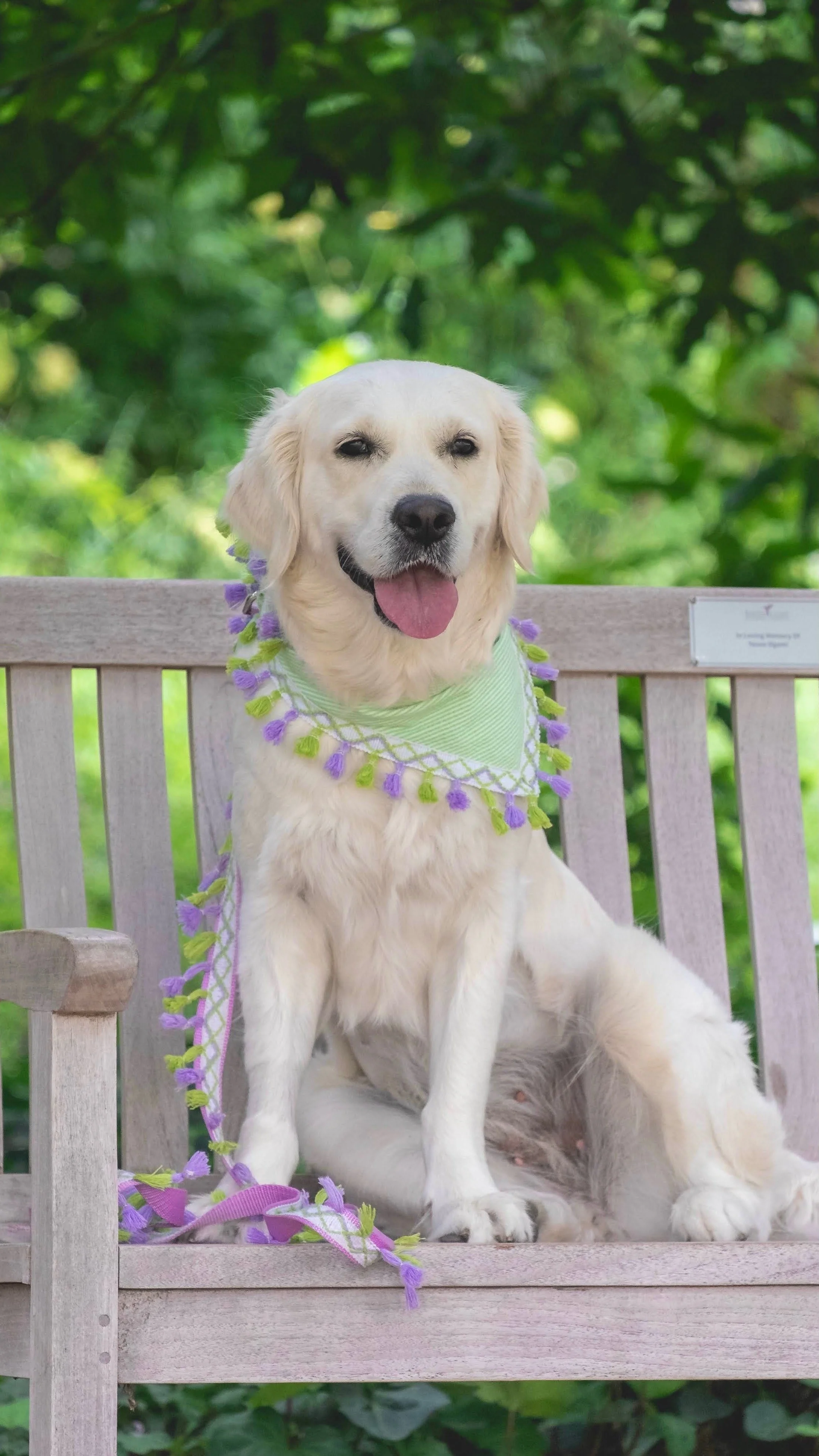 DSCF7340_Original 2.JPEG