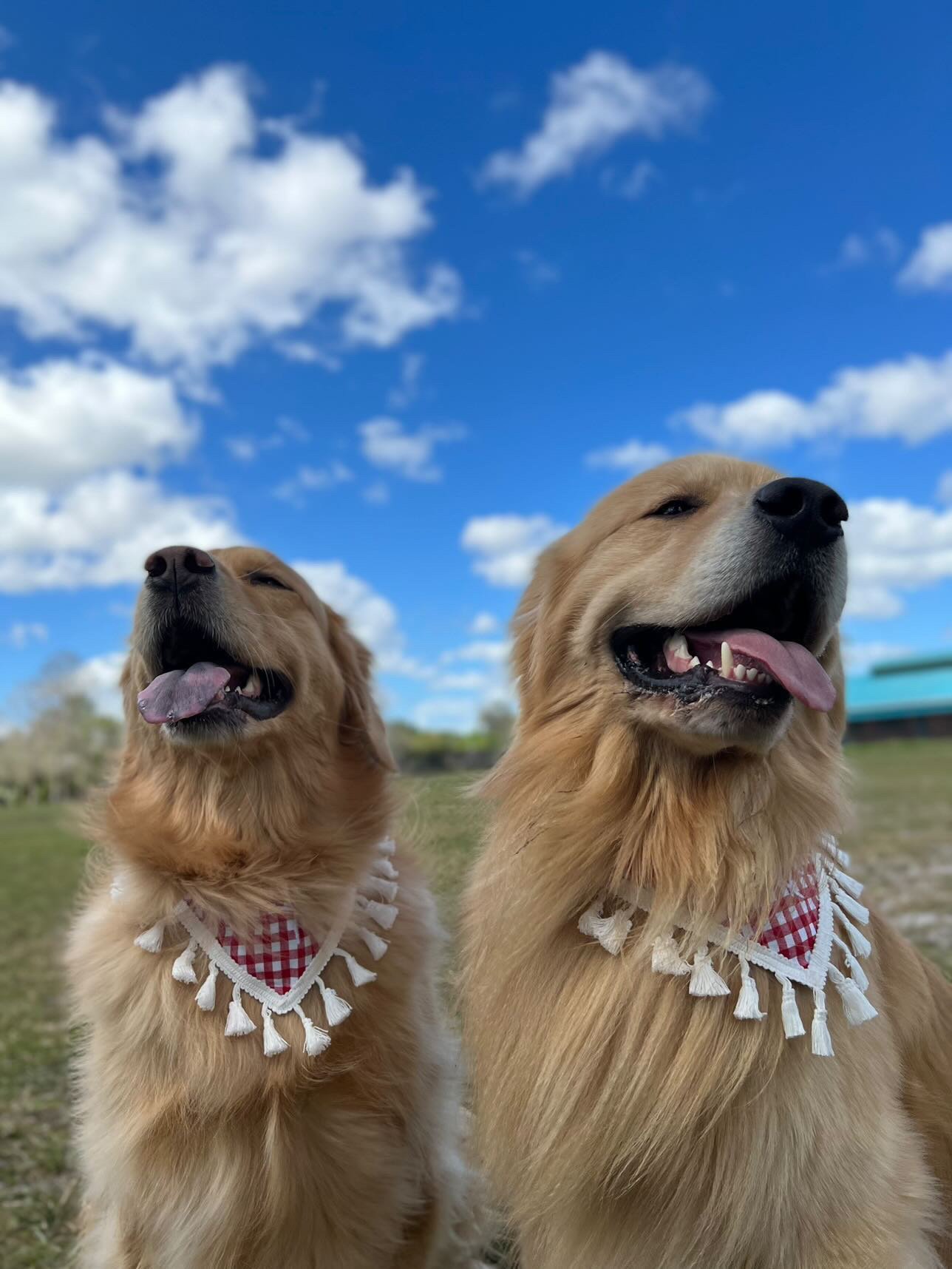 684DC8FD-A70B-45C8-BA28-37735D716A73 2.JPG