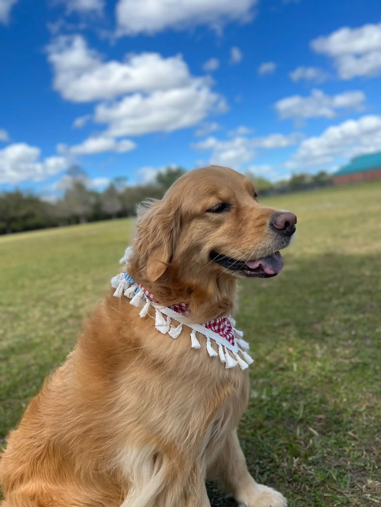 49744F31-064E-4DDB-9ED1-6A99F05CB034 2.JPG