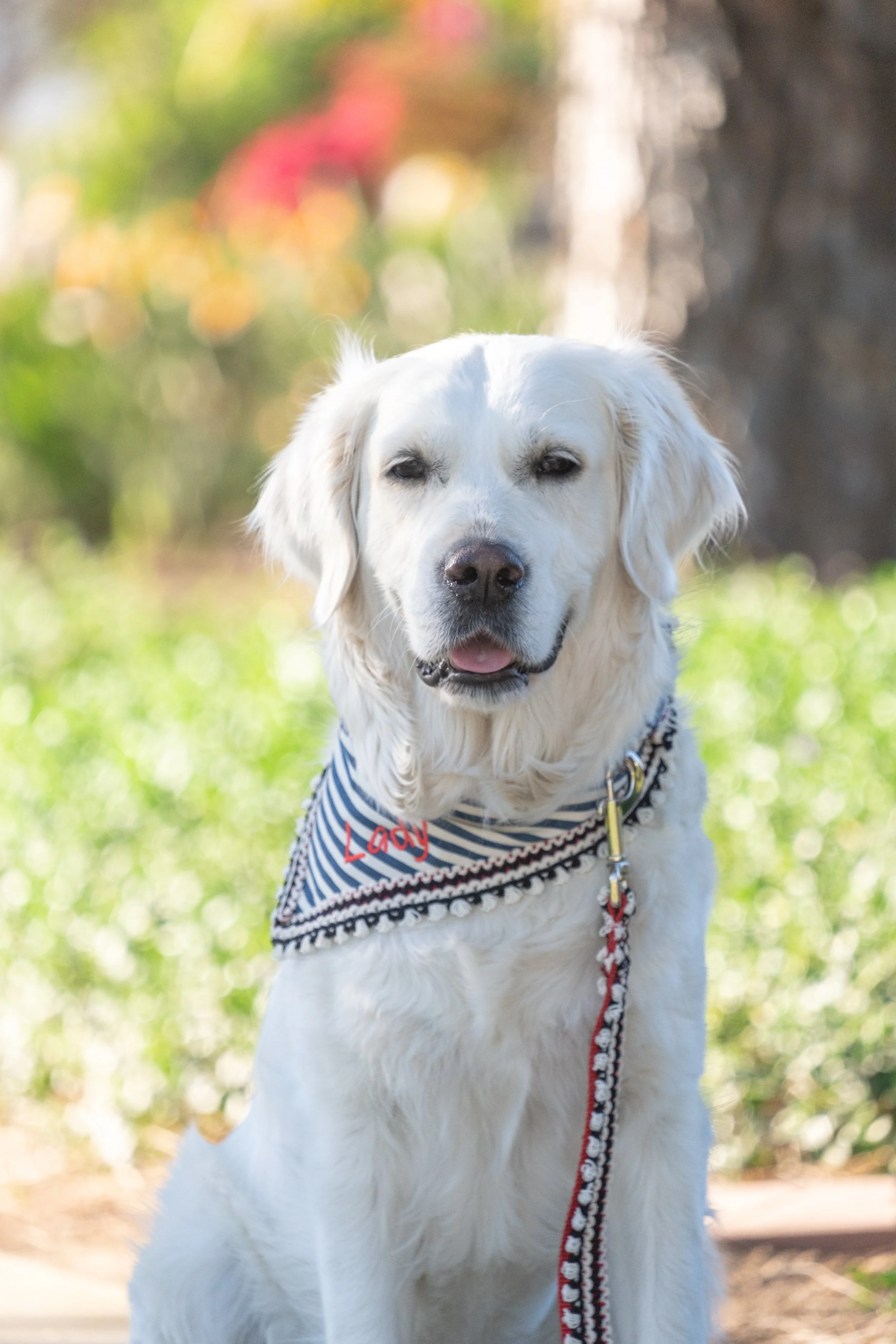 Navy Stripe Dog Bandana