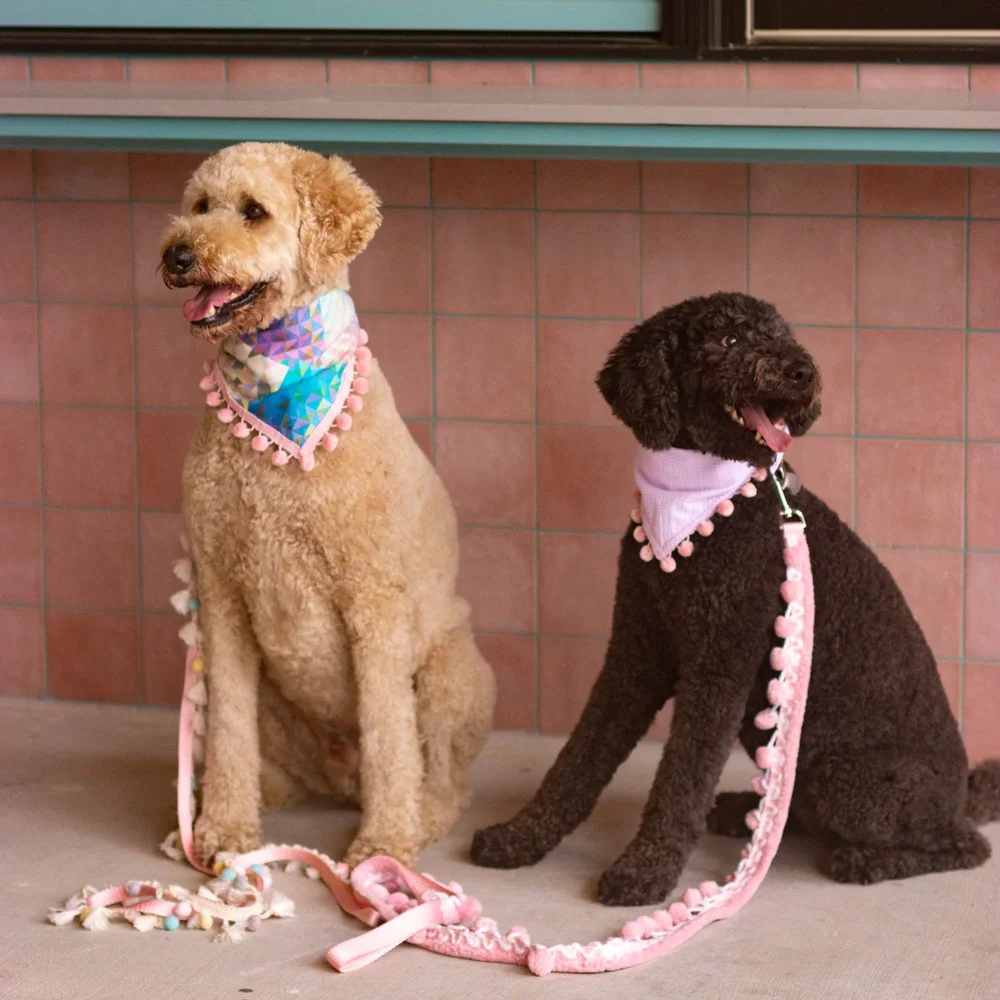 Summer Kaleidoscope Dog Bandana — Collar Me Crazee