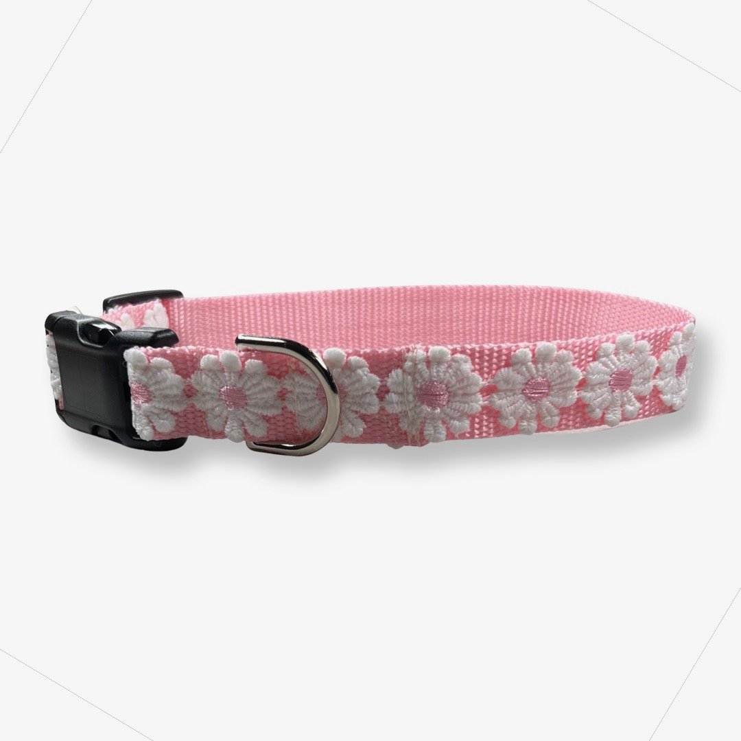 Pink Roses on Pink Floral Dog Collar