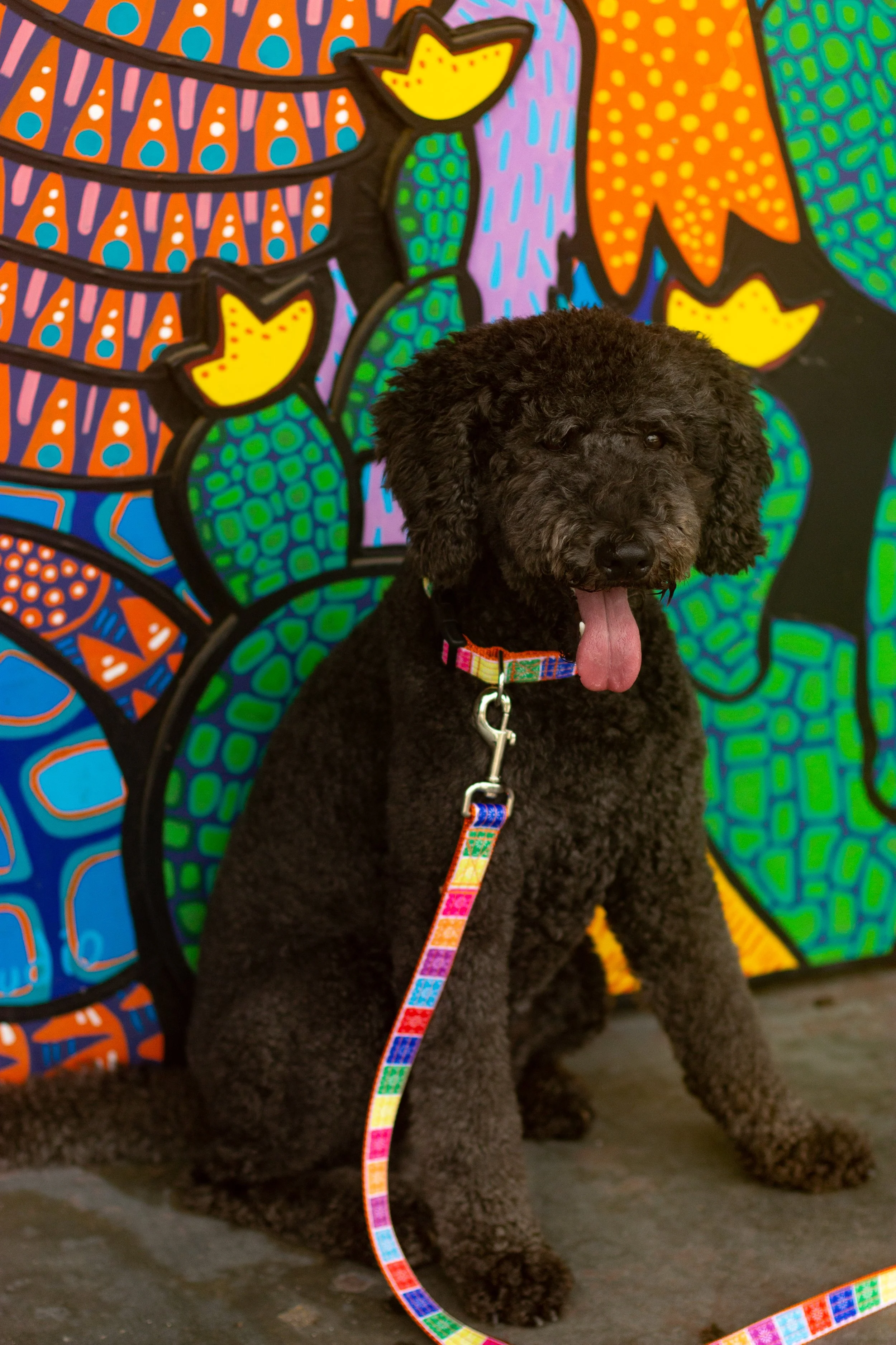 CMC Spring_Summer Shoot-104 2.JPG