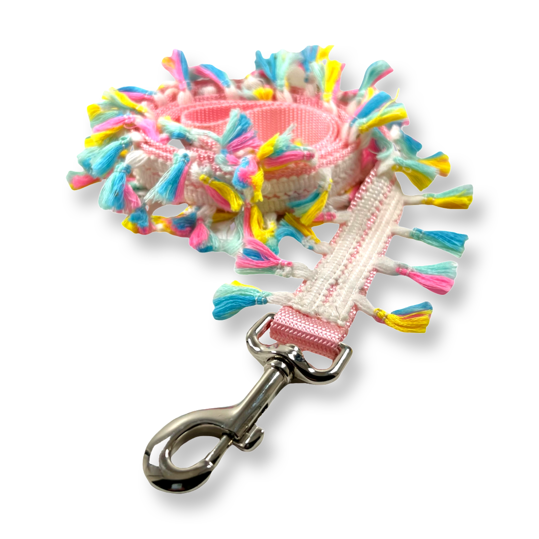 Rainbow Tassel Collar and Leash