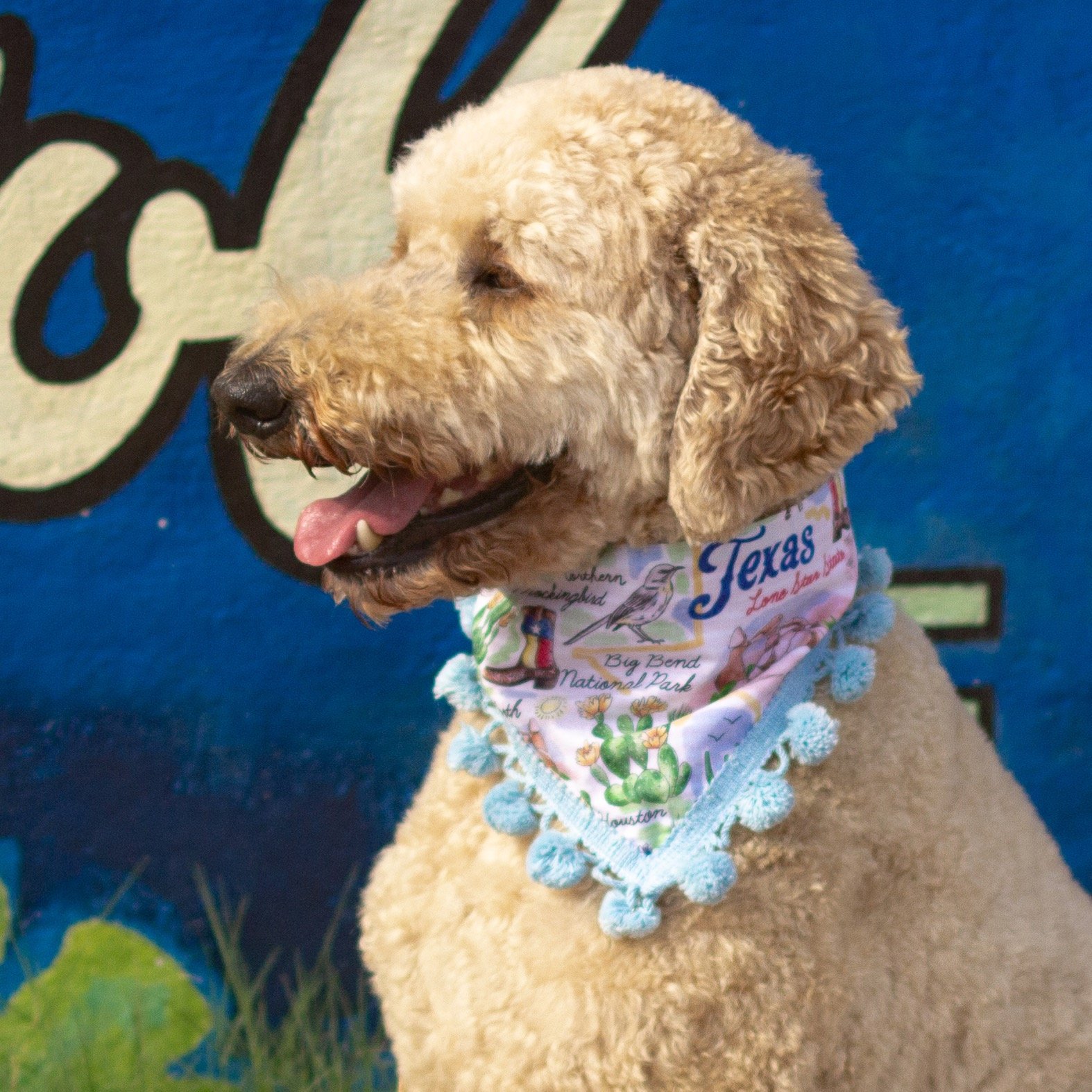 CMC Spring_Summer Shoot-28.jpeg