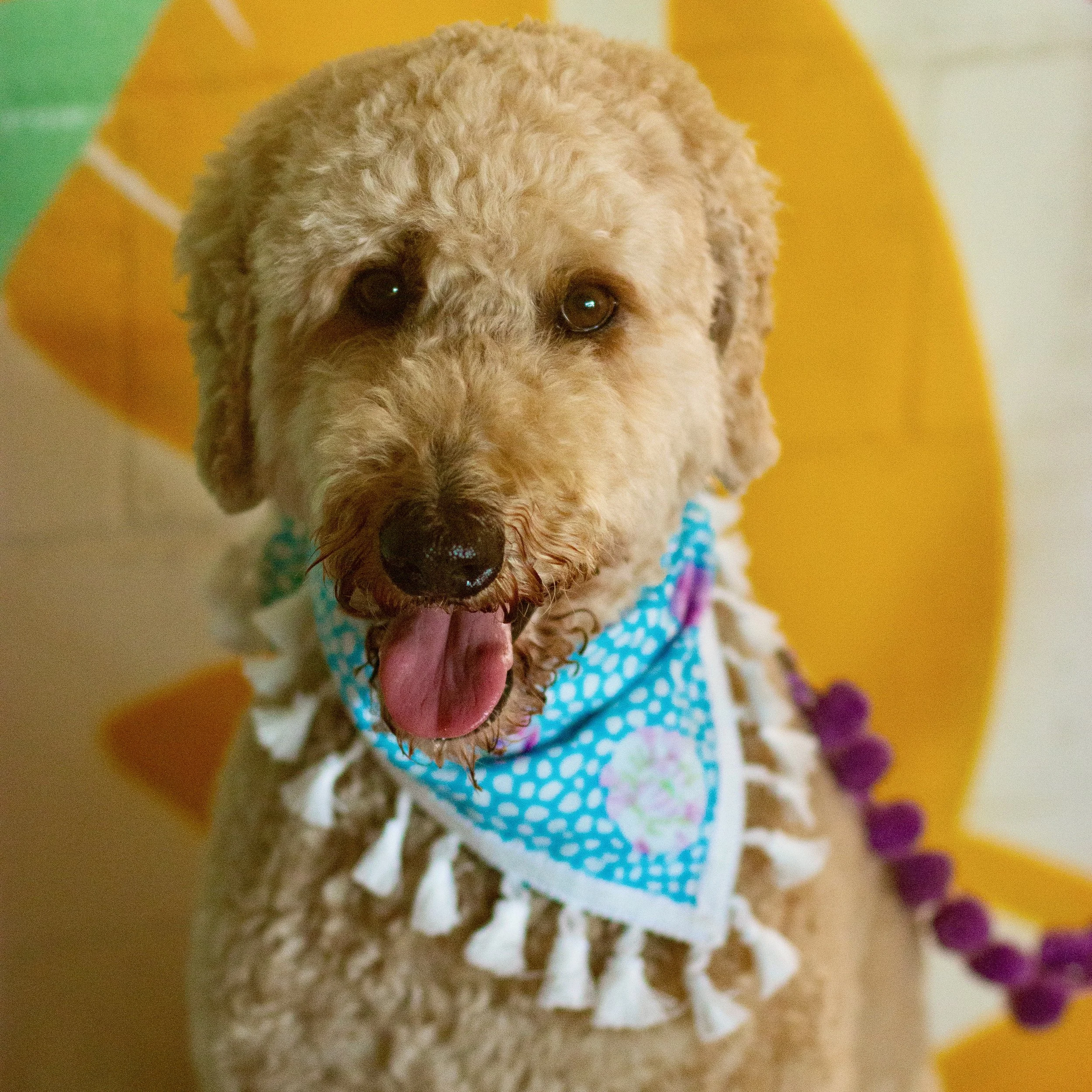 CMC Spring_Summer Shoot-74.jpeg