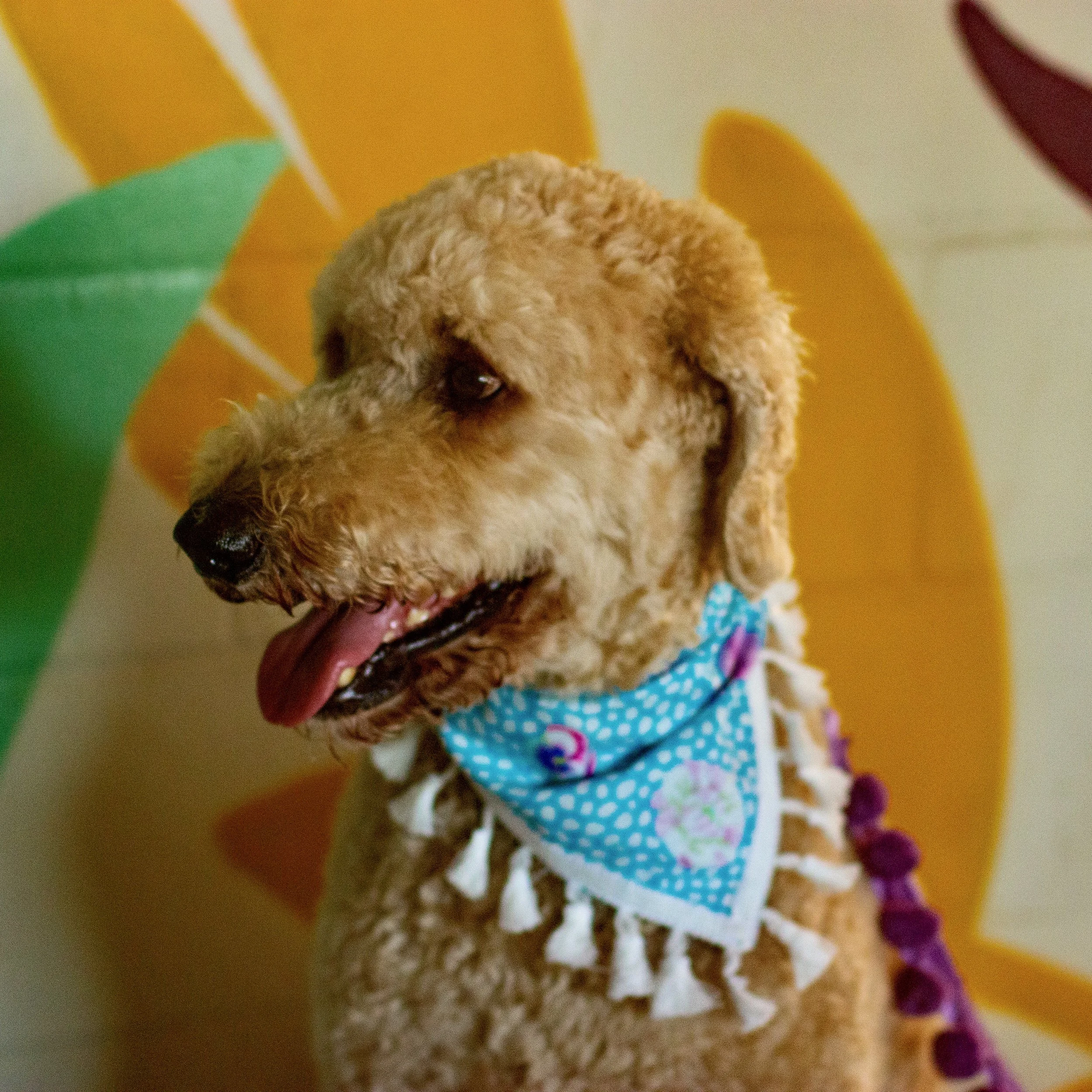 CMC Spring_Summer Shoot-79.jpeg