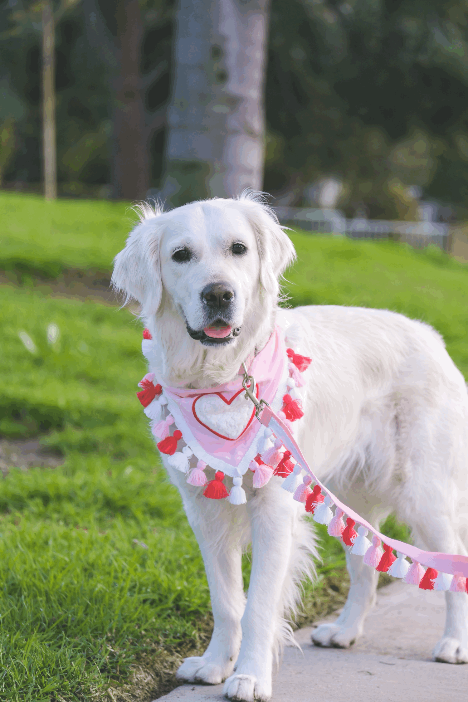 Pink, White, and Red Tassel Dog Leash — Collar Me Crazee