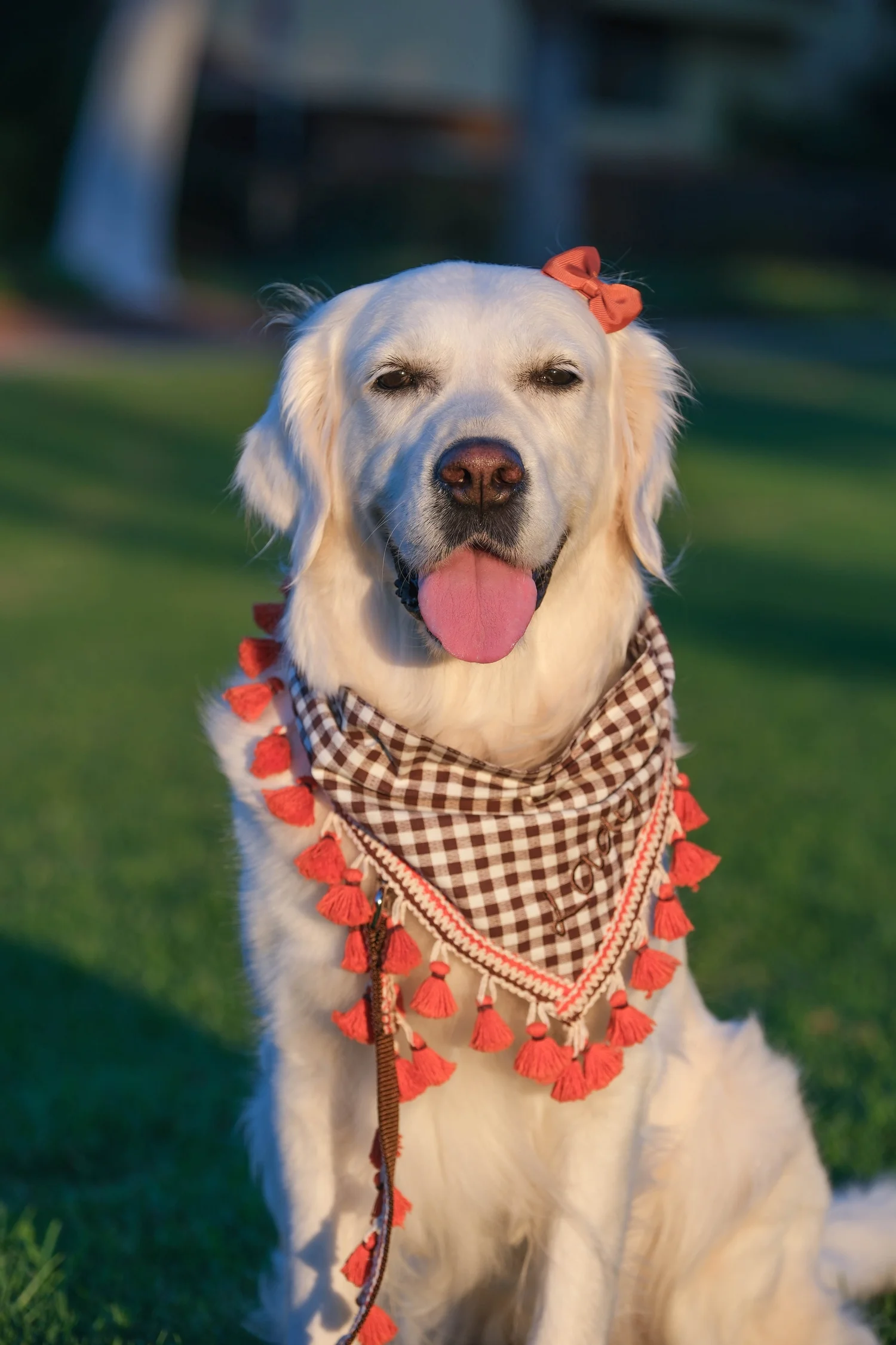 Fall Brown and White Check Tassel Bandana — Collar Me Crazee