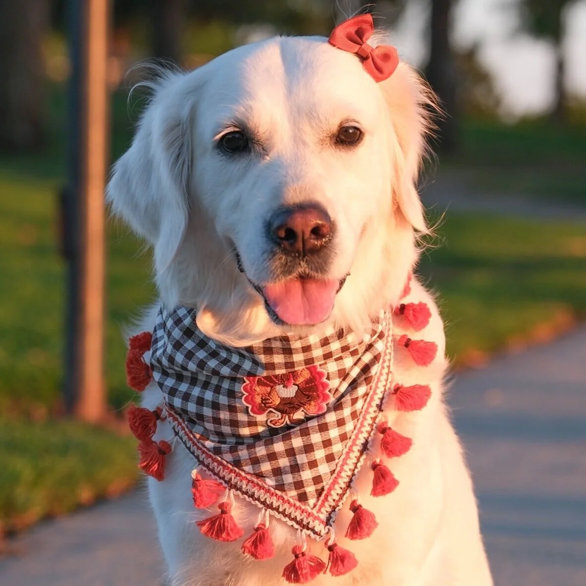 8DD30DE3-DE02-4AC2-8A87-19D7A61357FF