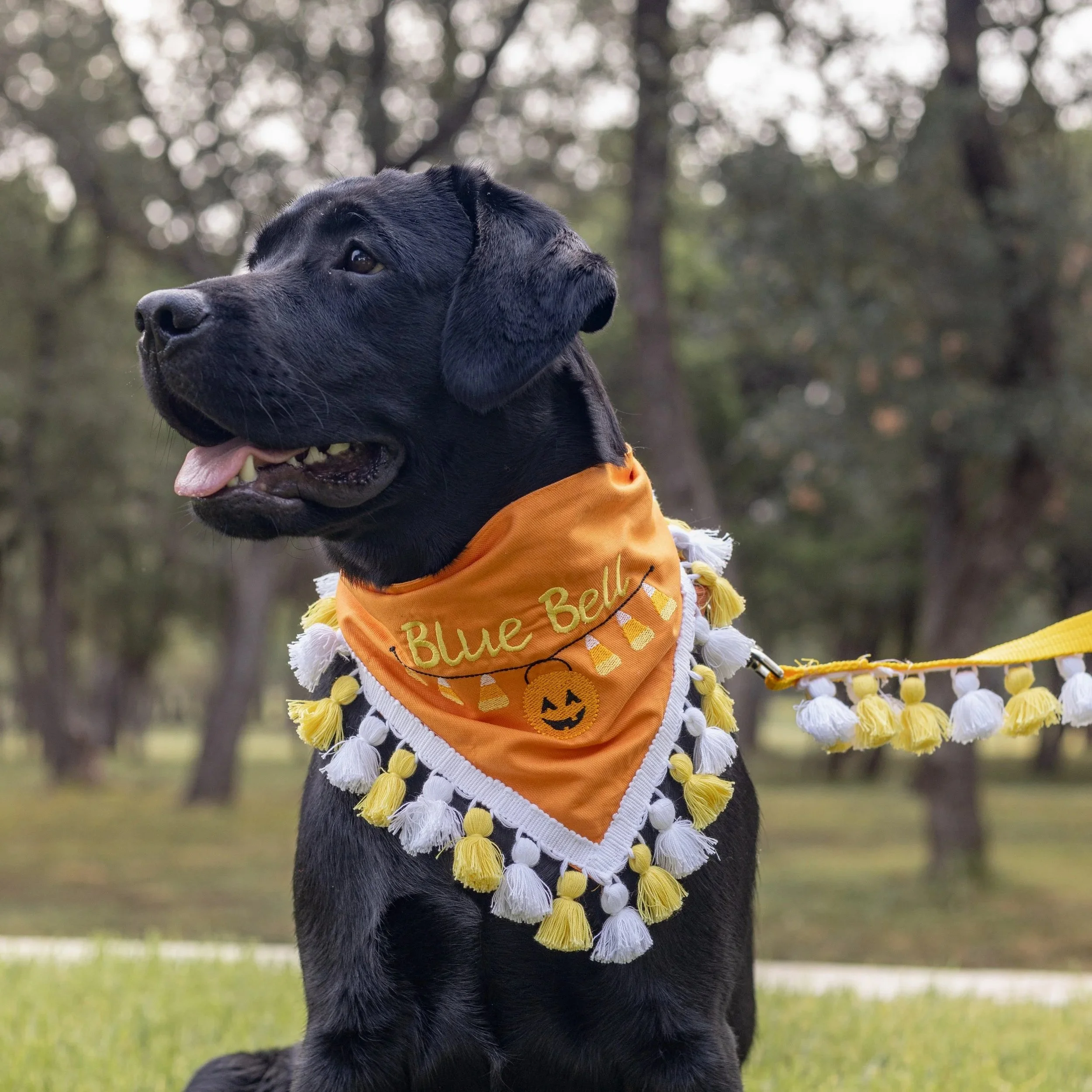 Candycorn and Pumpkins Monogrammed Bandana