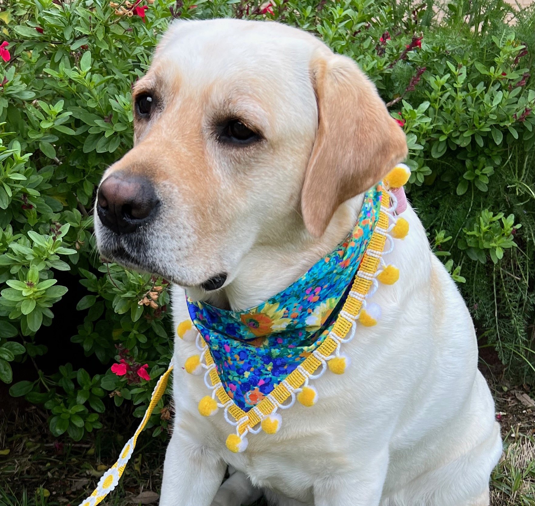 Reflections of a Spring Garden Bandana