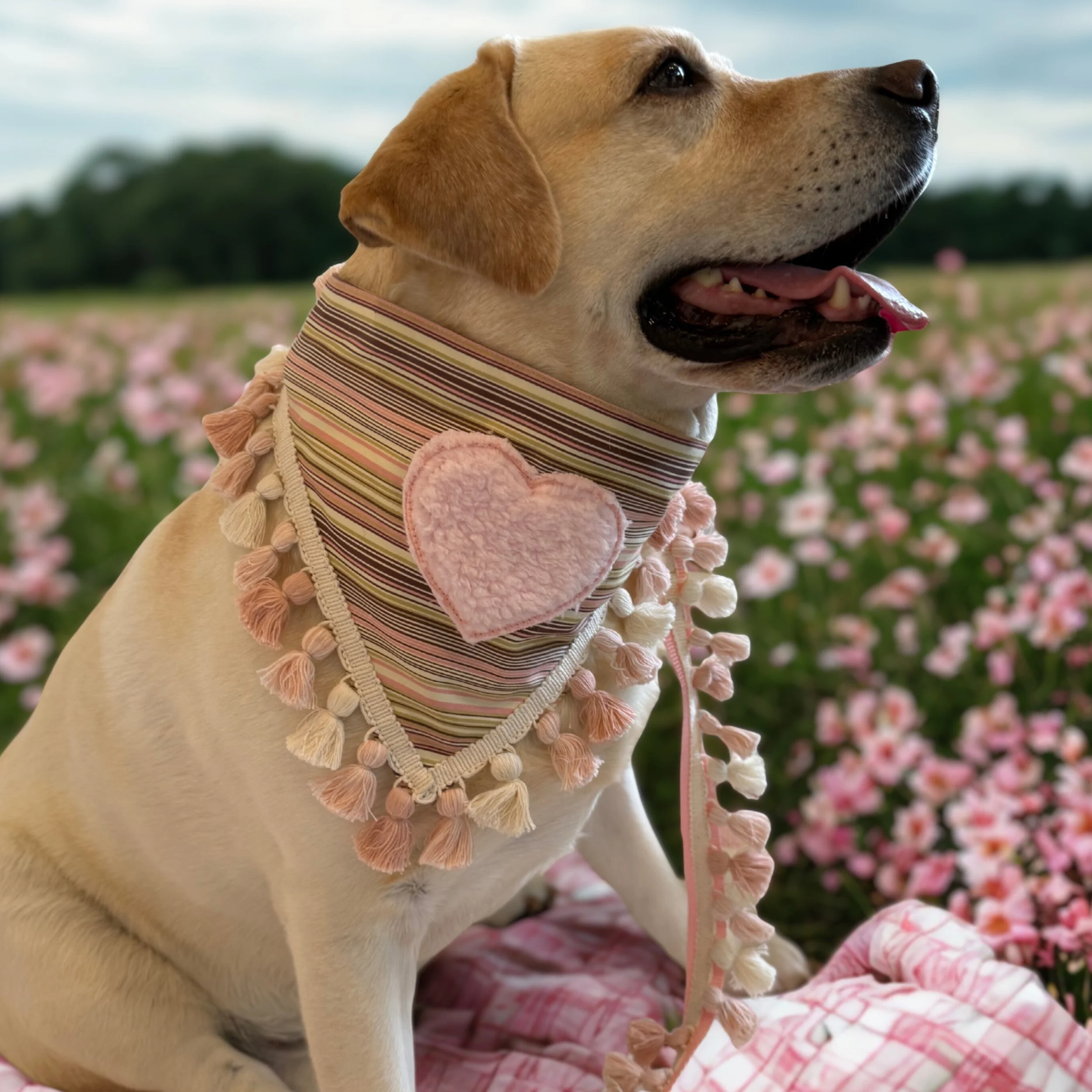 Pink Brown Stripe Fuzzy Heart Pink Bandana