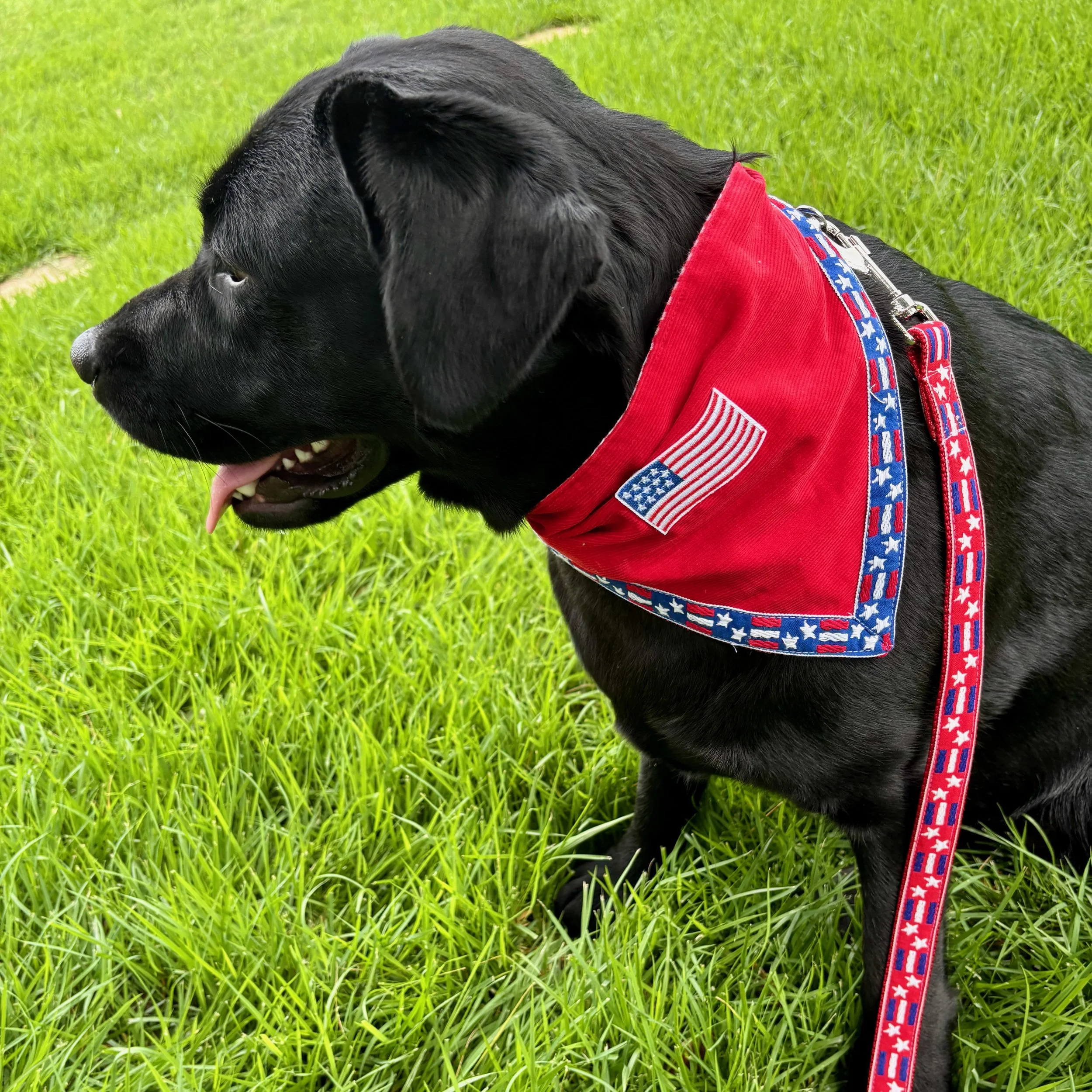 Patriotic Flag Bandana