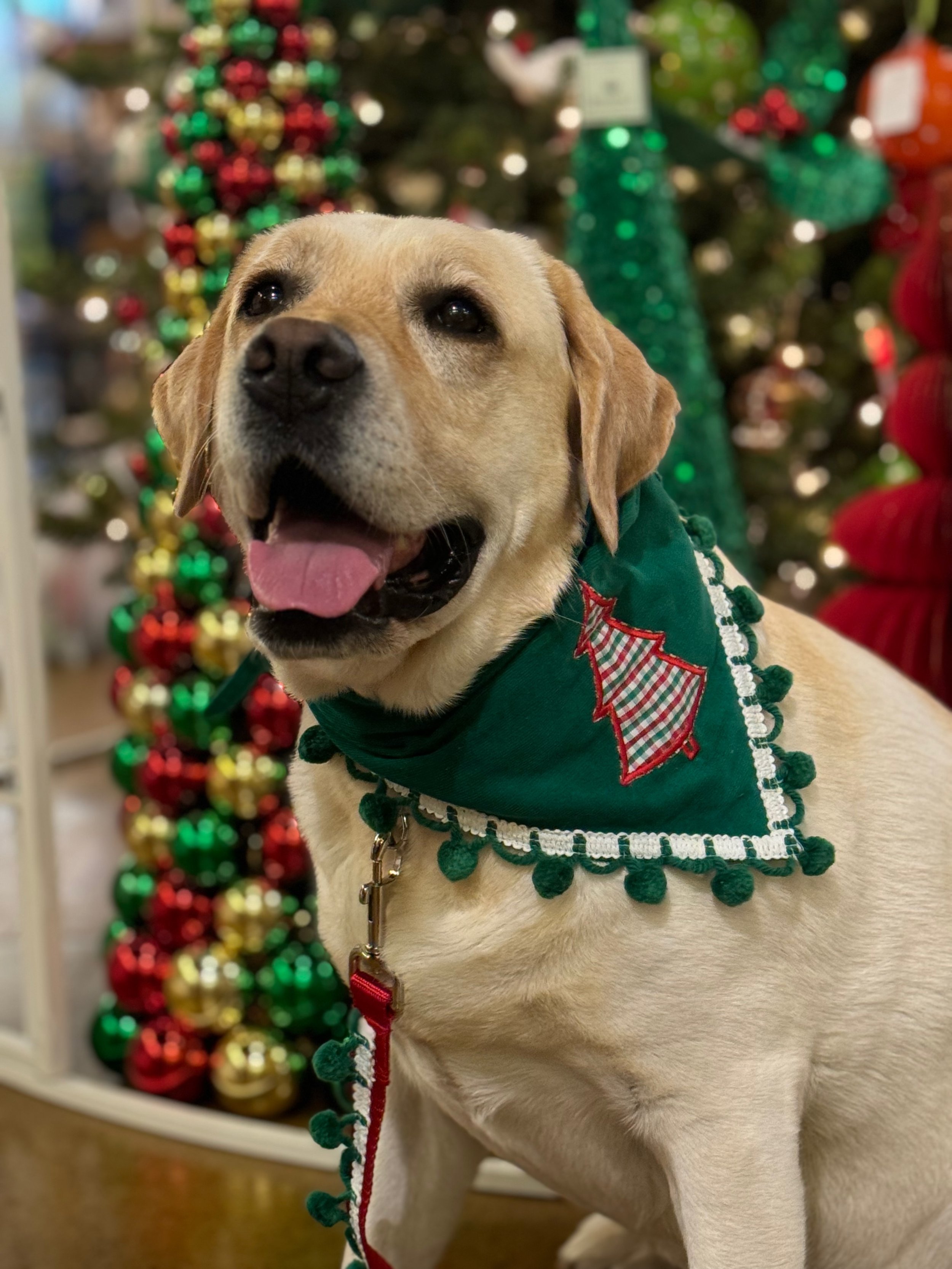 Christmas Tree Check Bandana