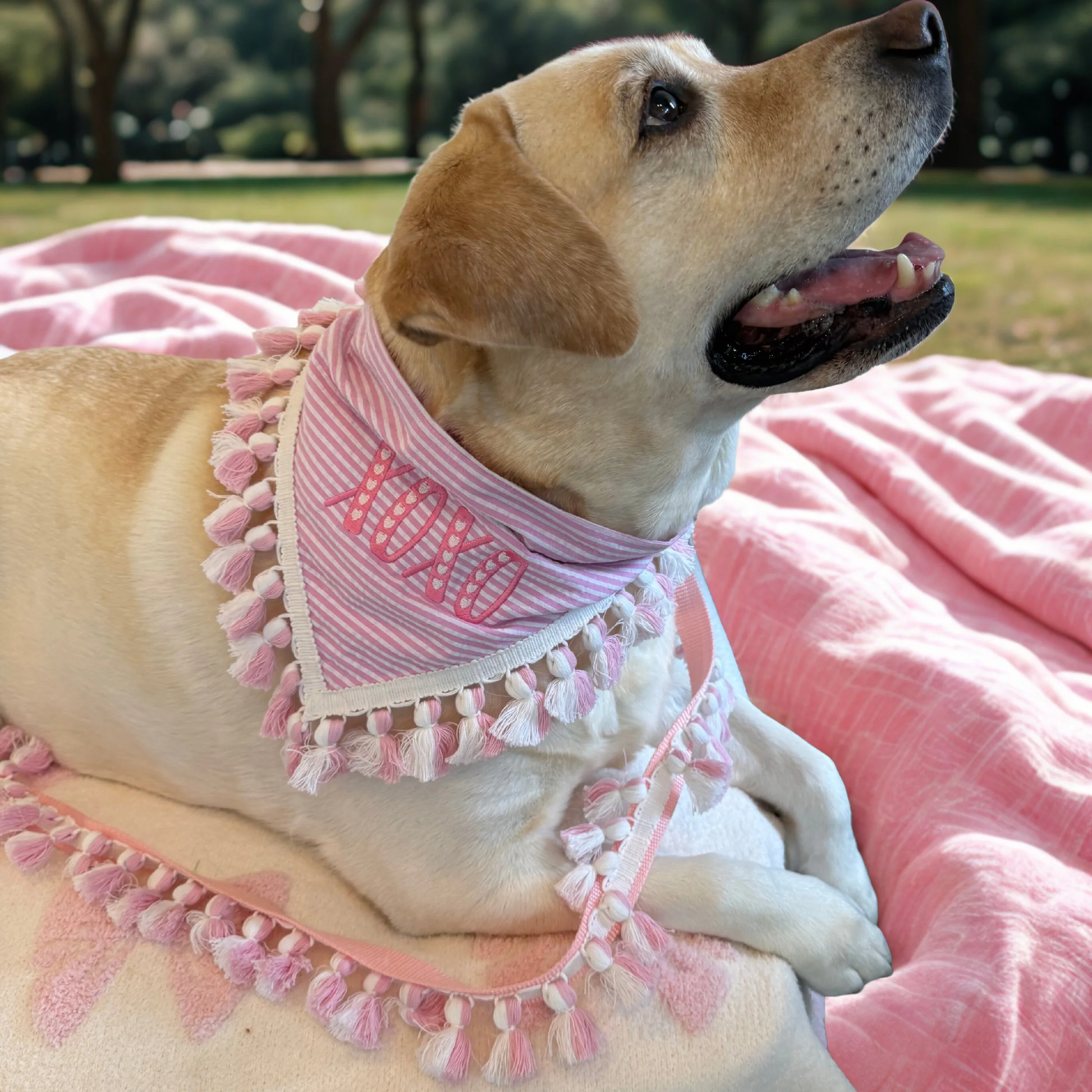 XOXO Pink Love Dog Bandana