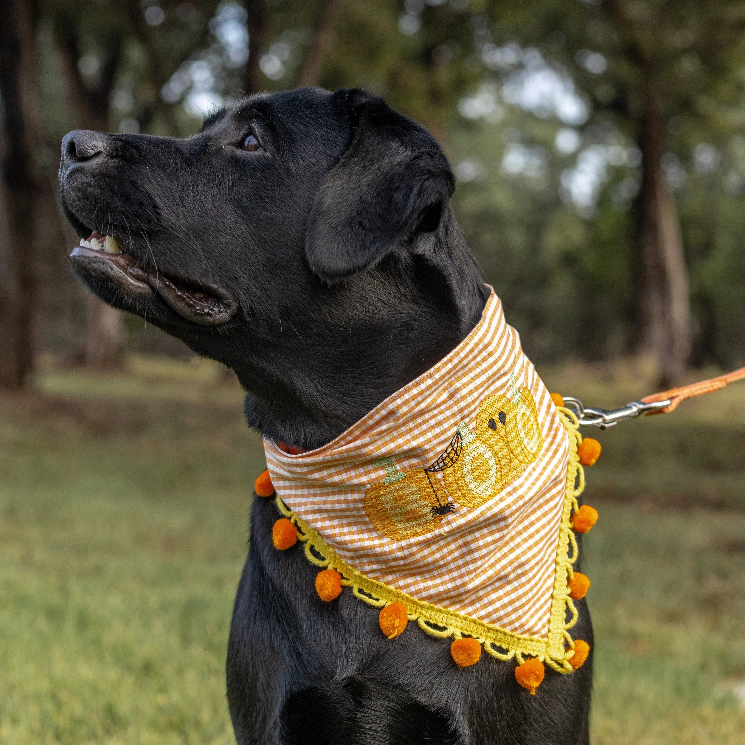 Pumpkins Spiders Boo Ghosts Bandana