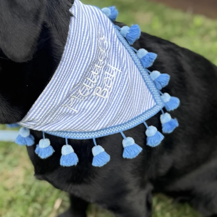 Mama's Boy Blue  Dog Bandana