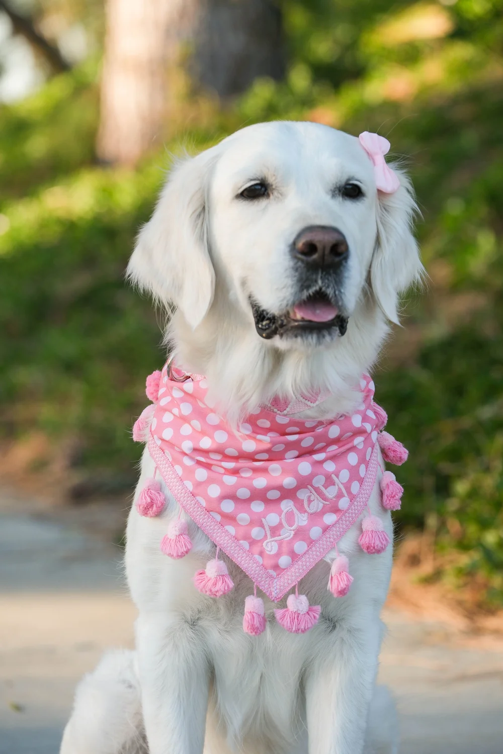 Pink and Light Pink Dots Dog Bandana — Collar Me Crazee