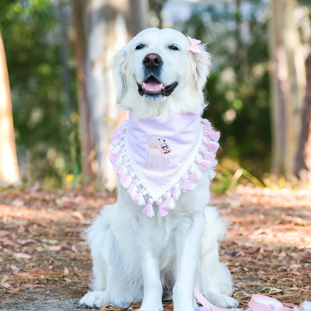 Trick or Treat Pup Dog Bandana — Collar Me Crazee
