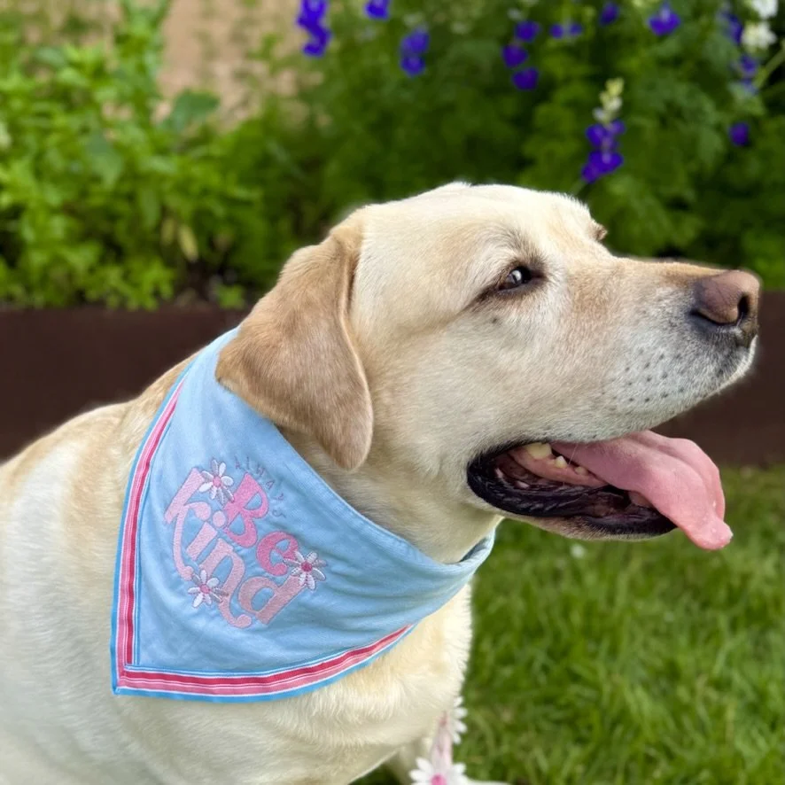 Always Be Kind Dog Bandana