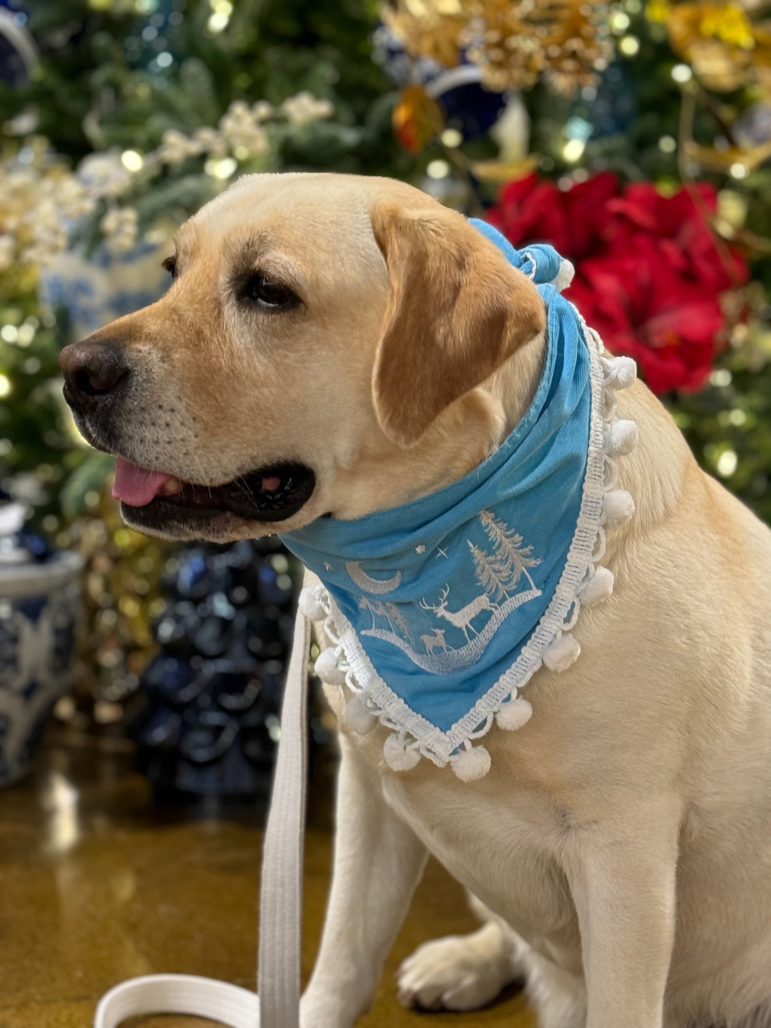Winter Wonderland Blue Bandana