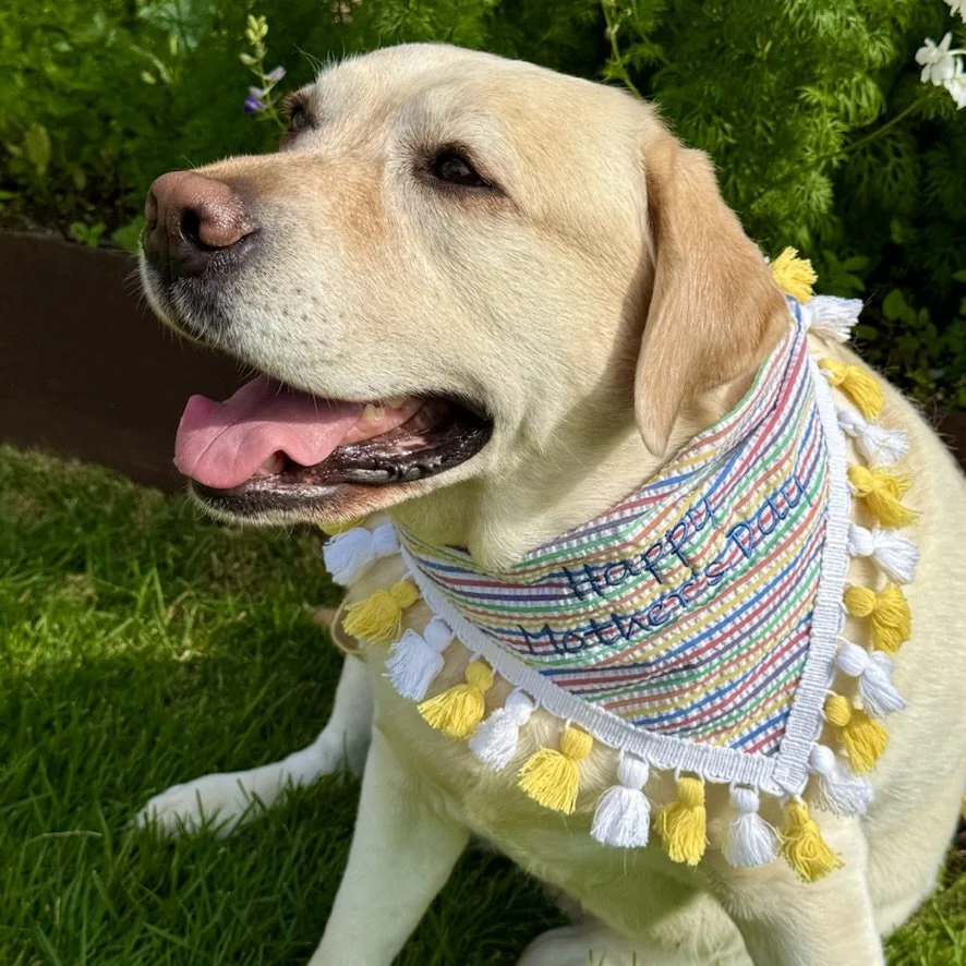Happy Mother"s Day Bold Stripe Bandana