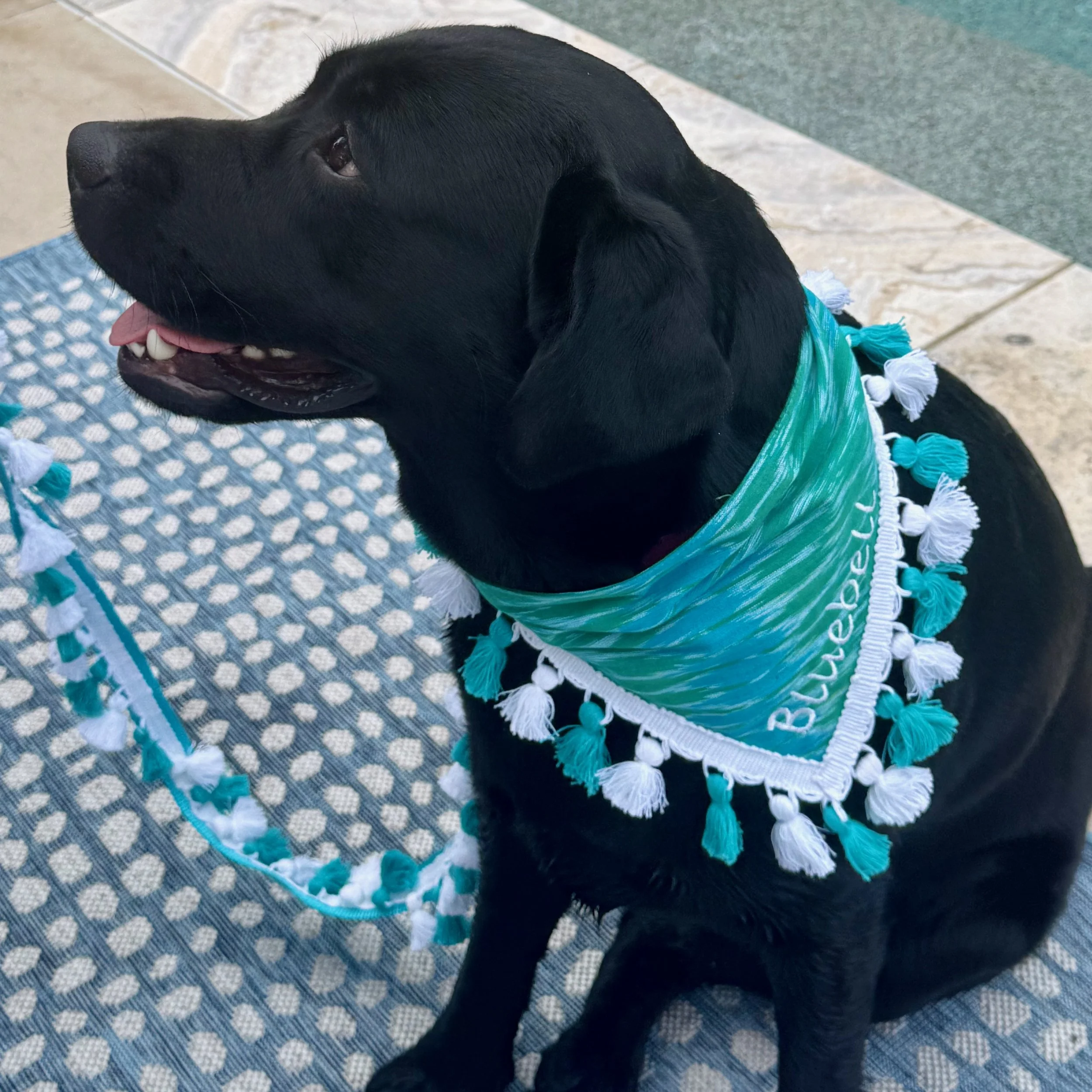 Ikat Stripe Turquoise