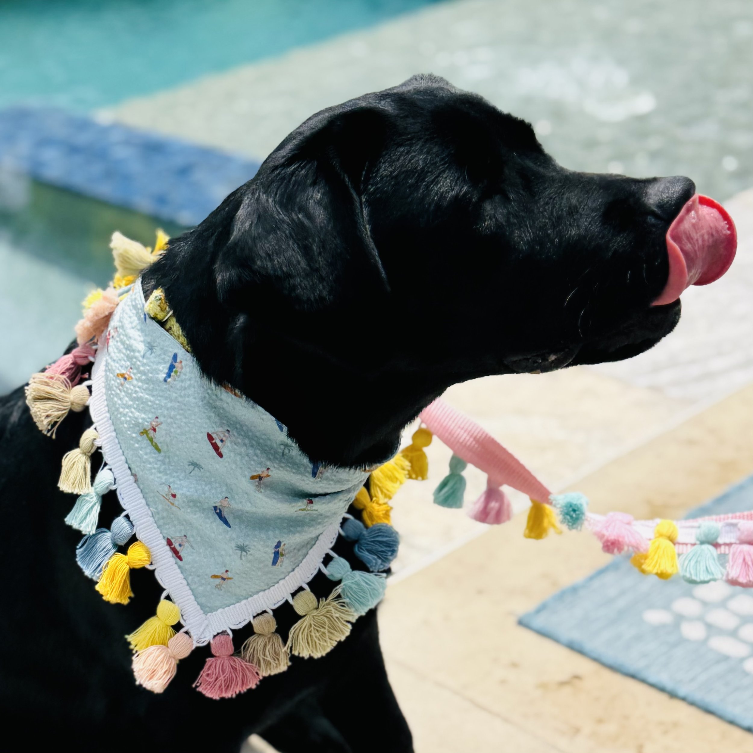 Surfing Safari Dog Bandana