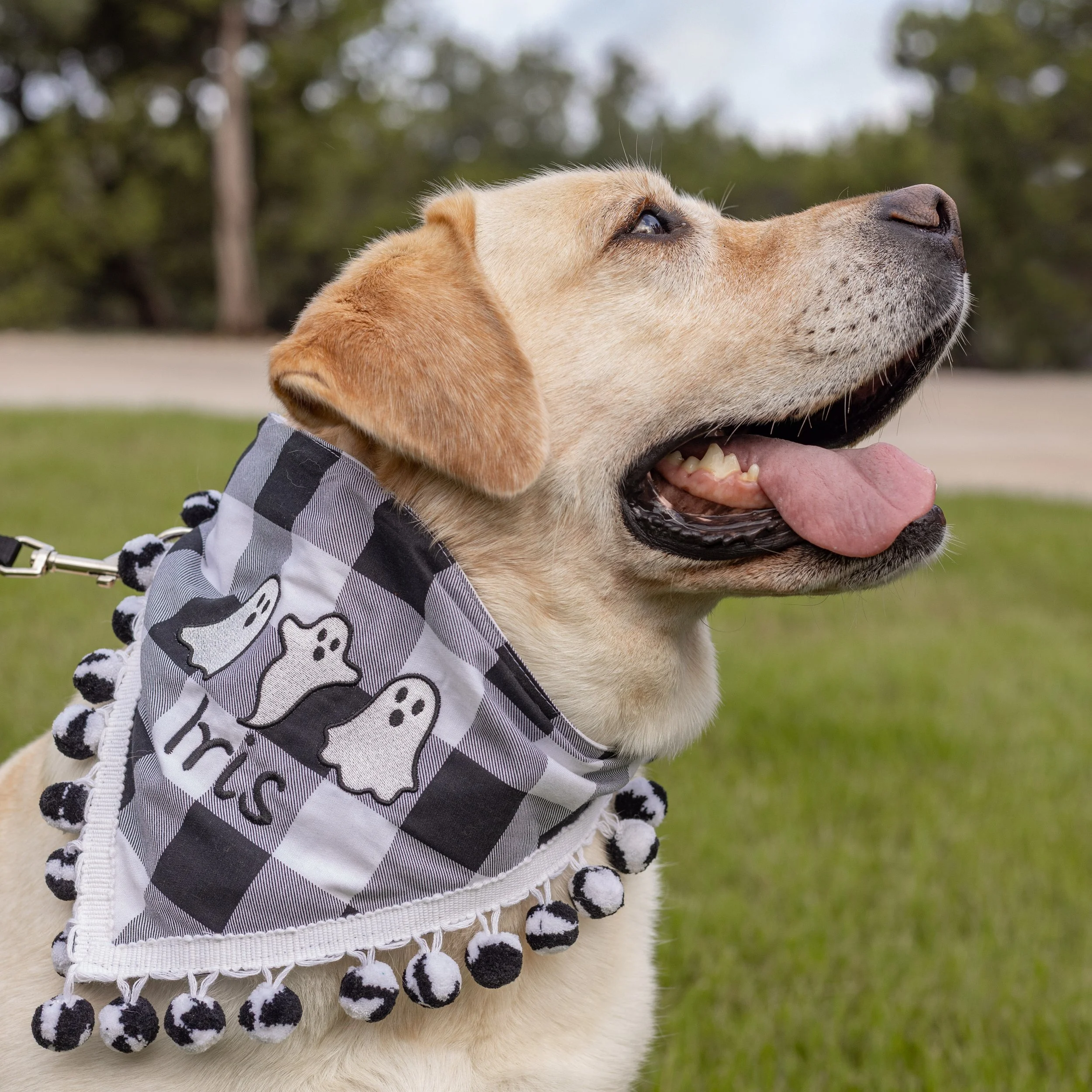 Big Check Ghosts Monogrammed Bandana