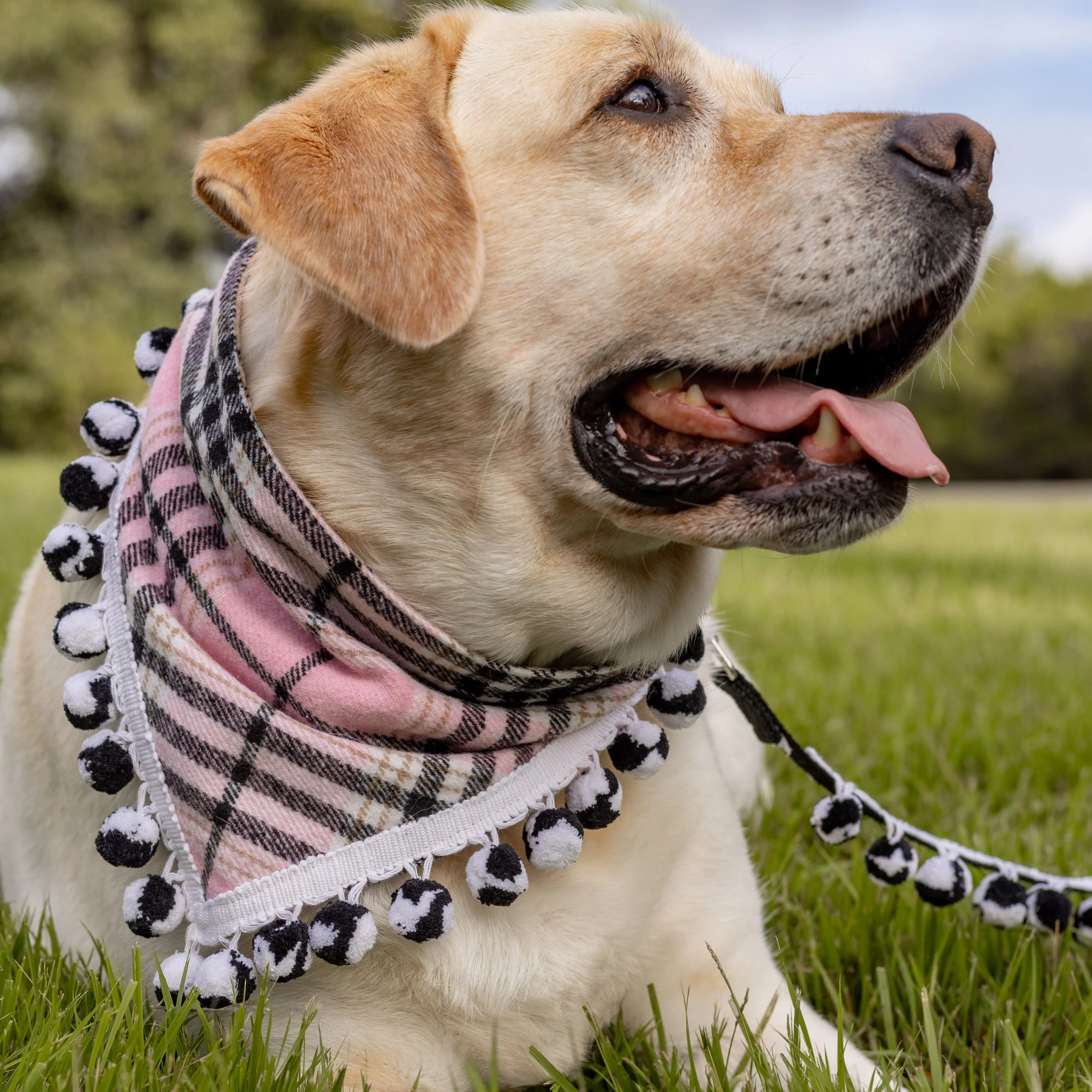 Pink Black and White Plaid Flannel Bandana