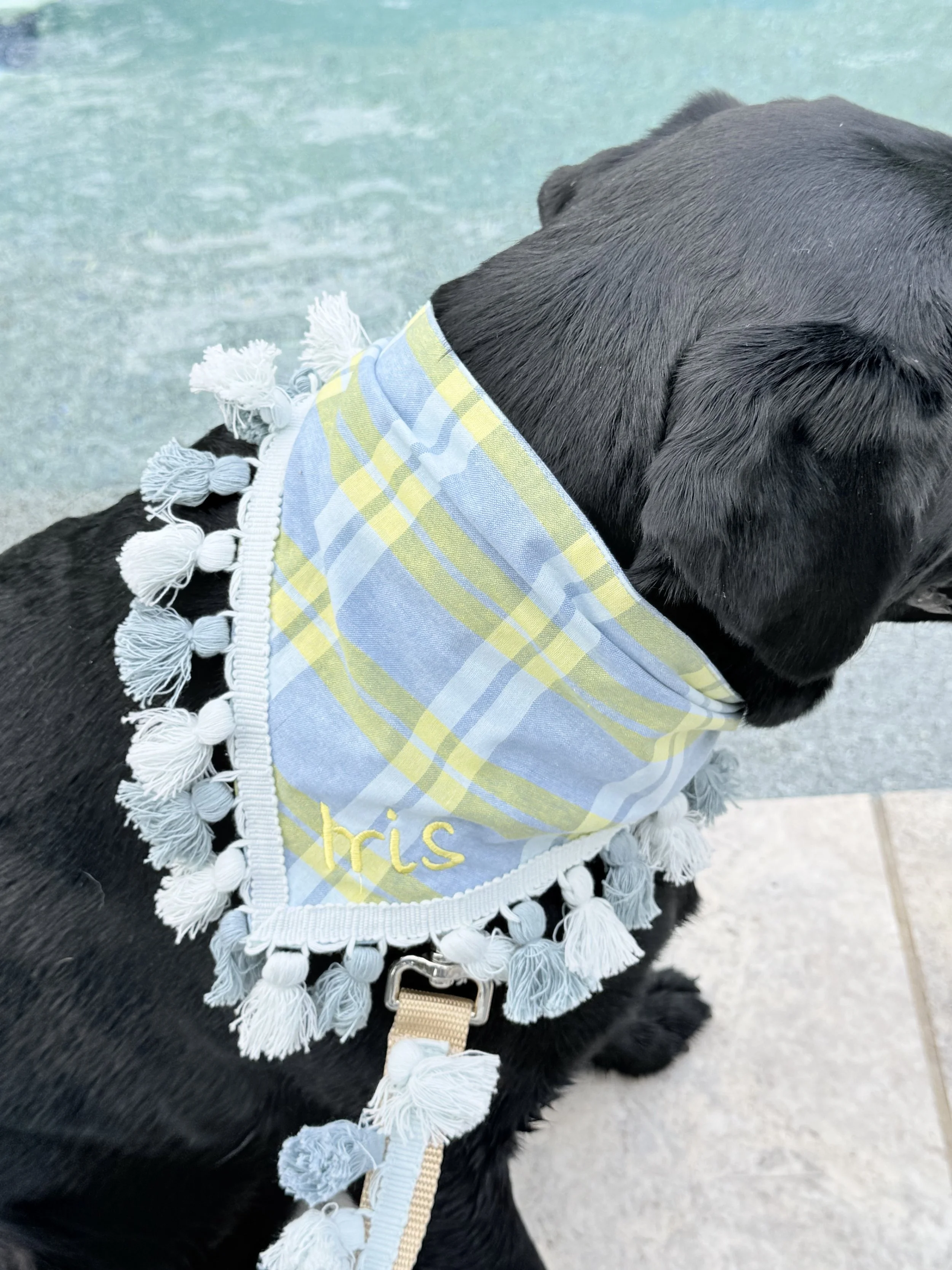 Muted Plaid Light Blue Yellow