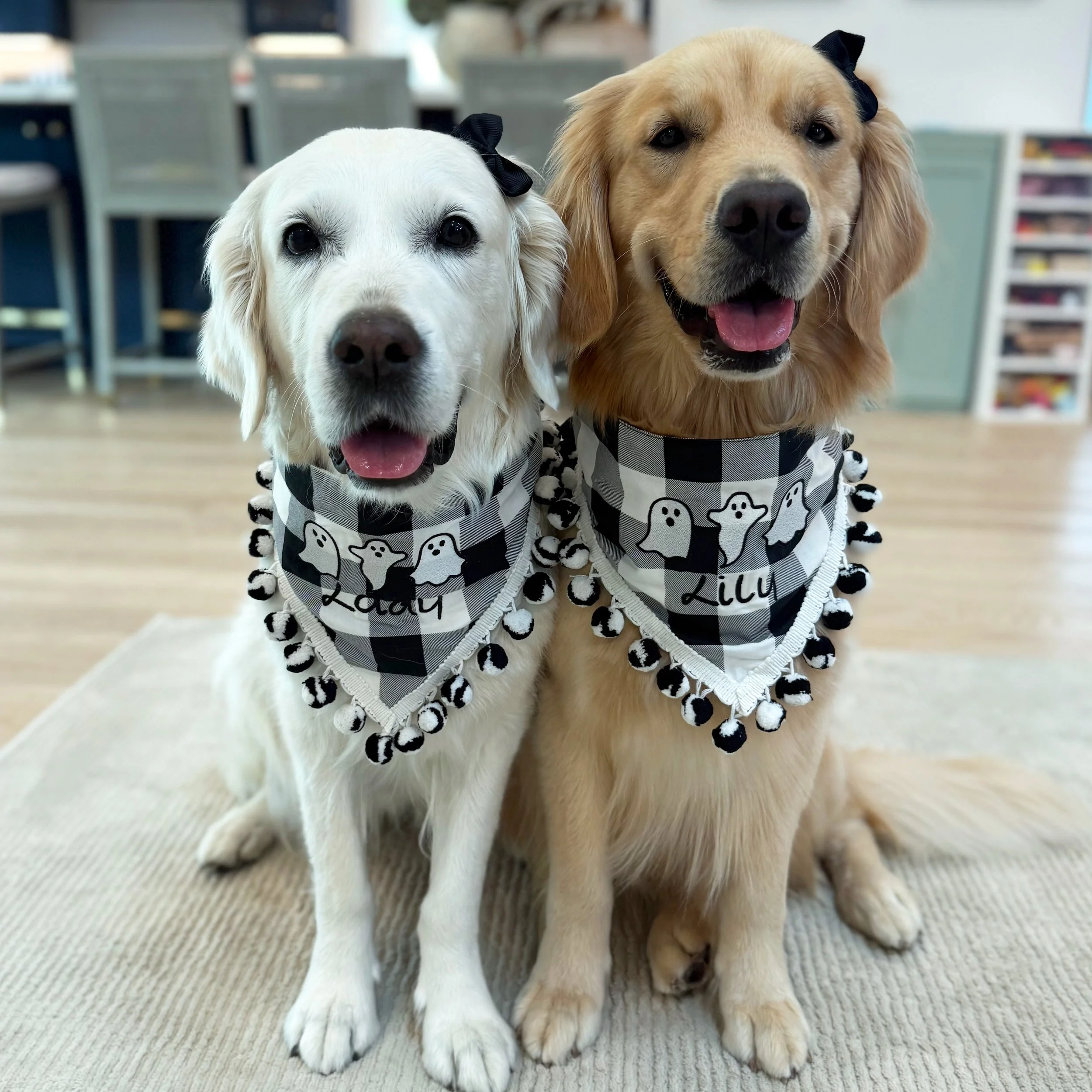 dogs-together.jpg